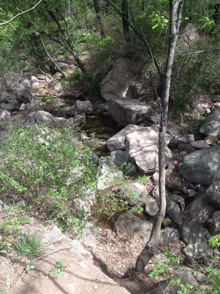 辽宁白狼山国家级自然保护区(暂停开放)旅行图片 2