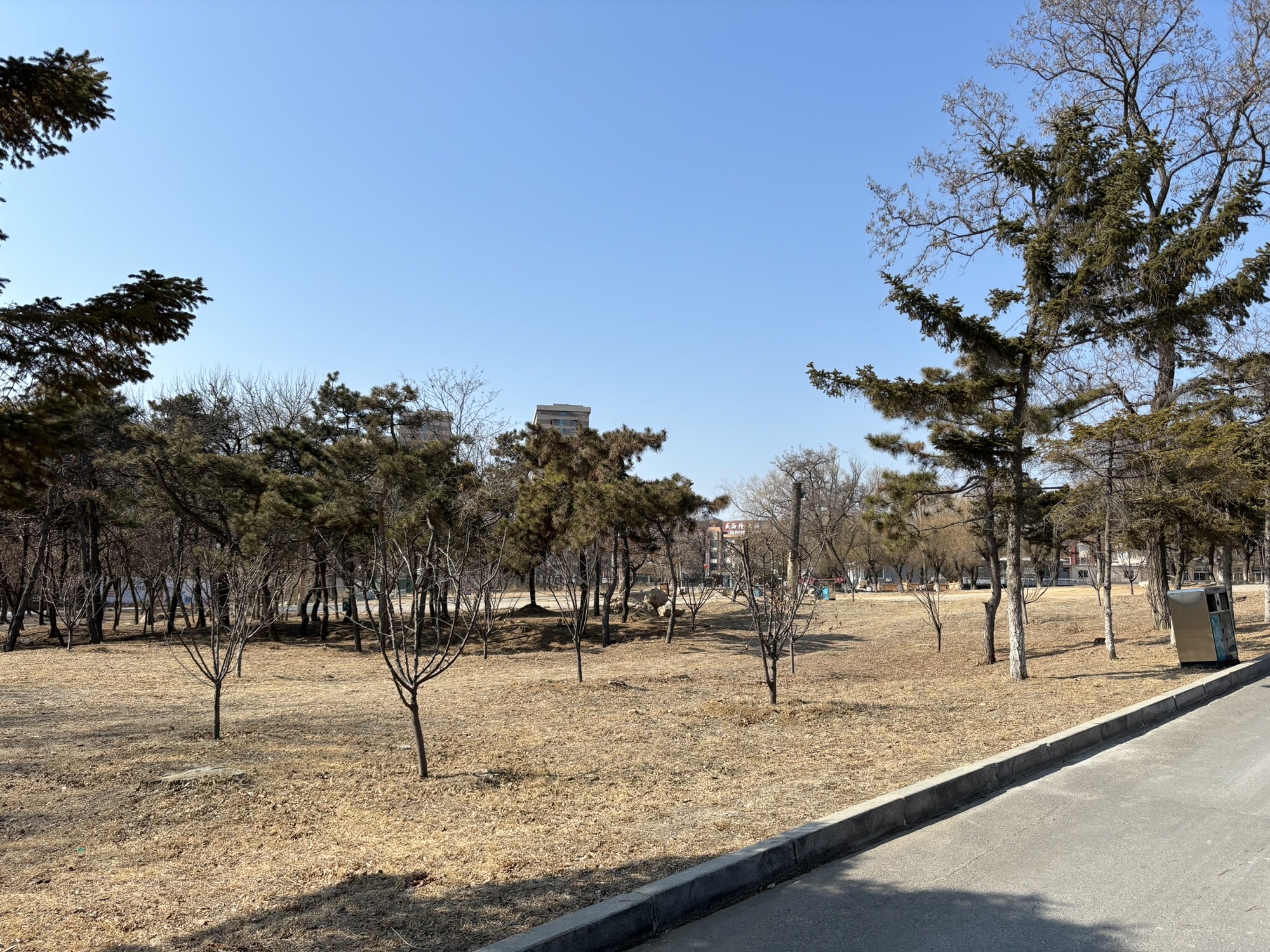 兴海公园旅行图片 3