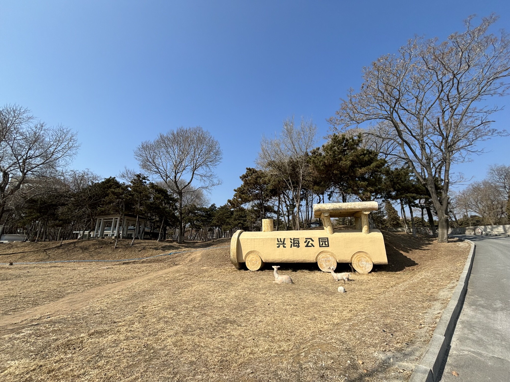 兴海公园旅行图片 1