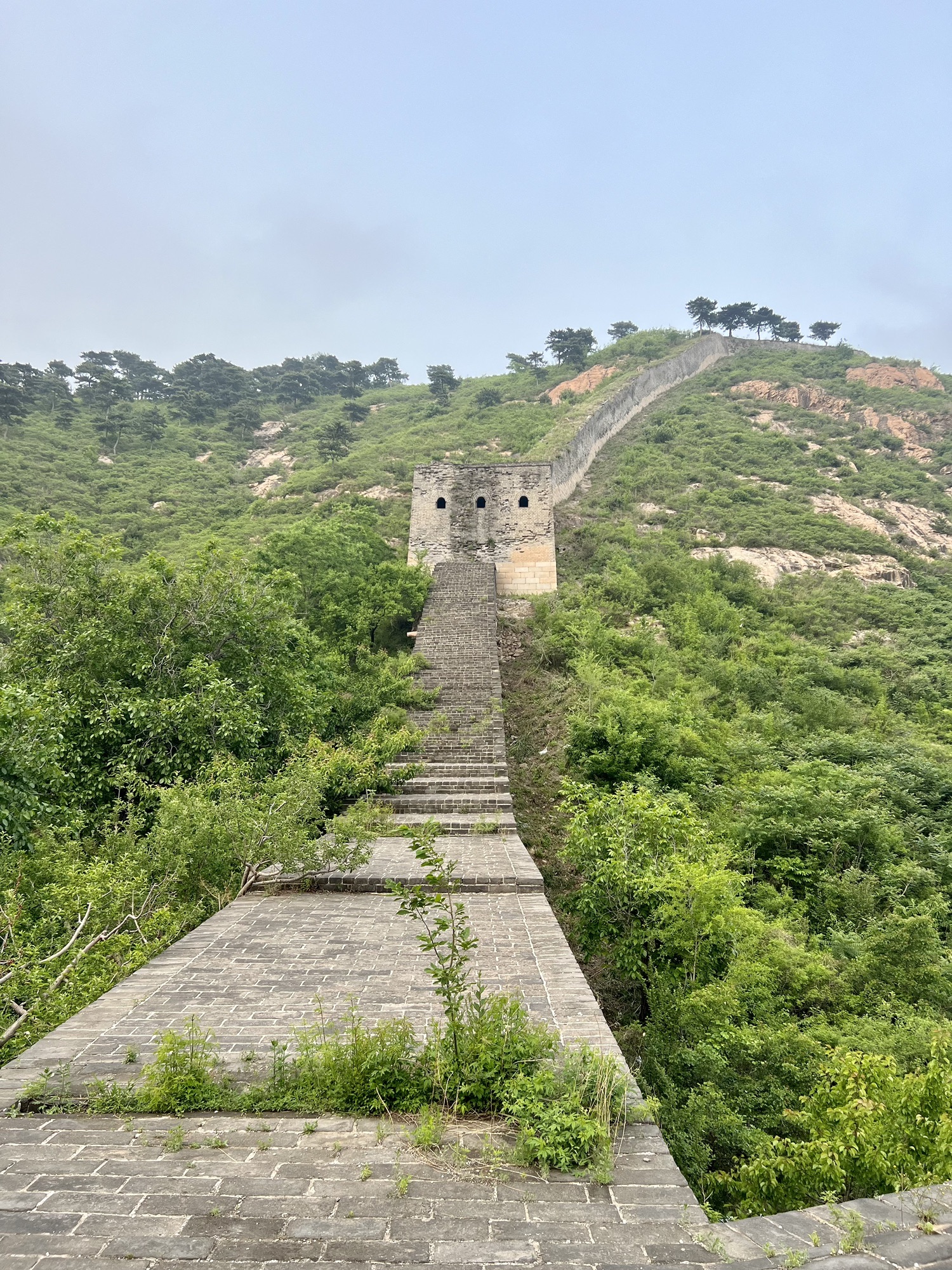 京东首关旅行图片 3