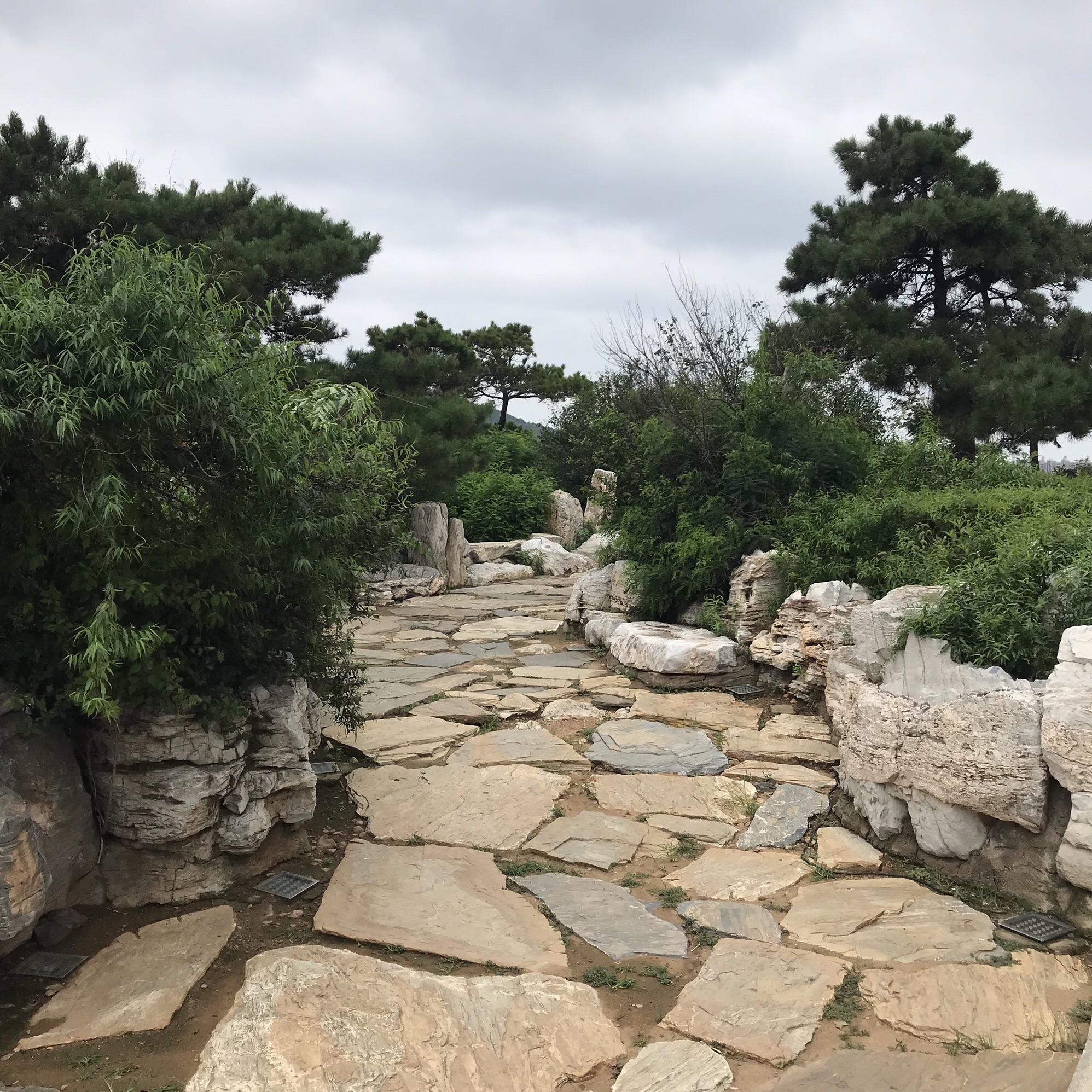 龙回头旅行图片 3