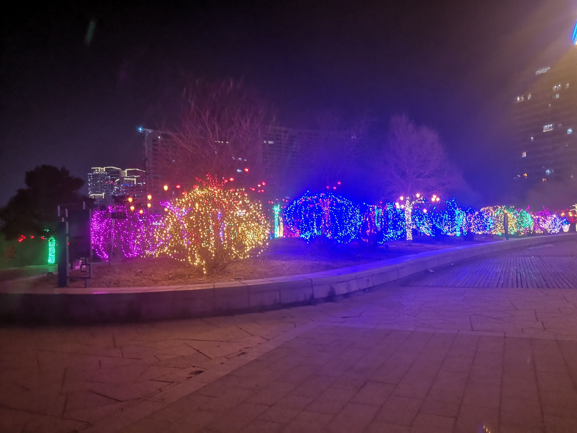 国际和平广场旅行图片 2