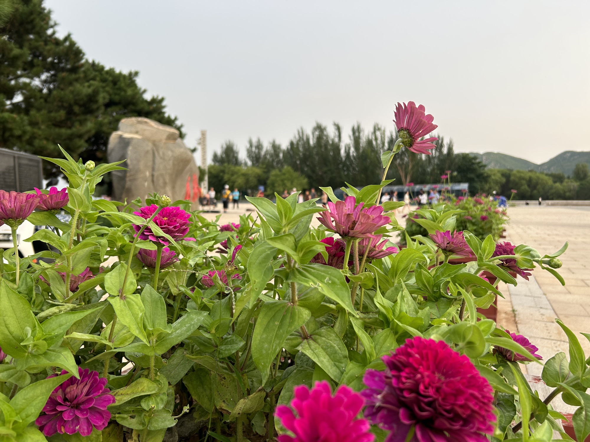 国际和平广场旅行图片 2