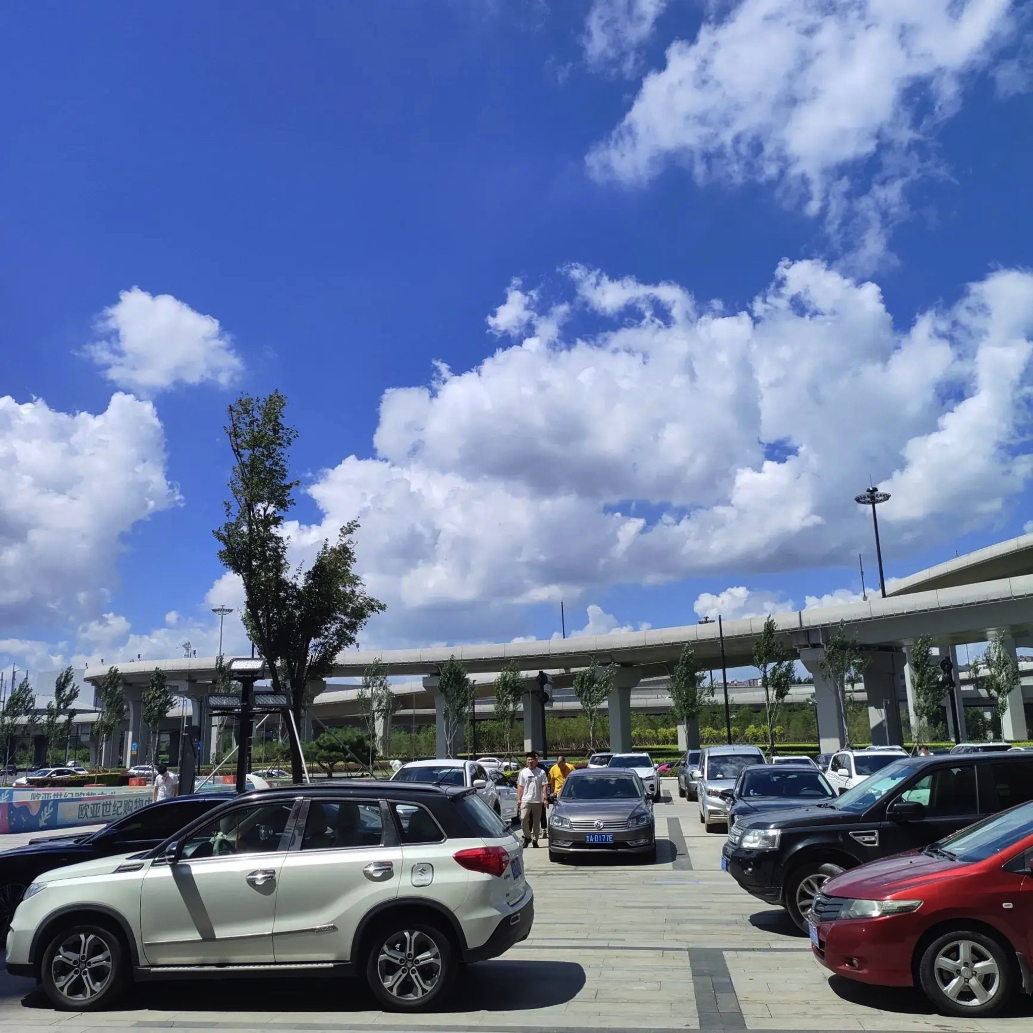 世纪广场旅行图片 2