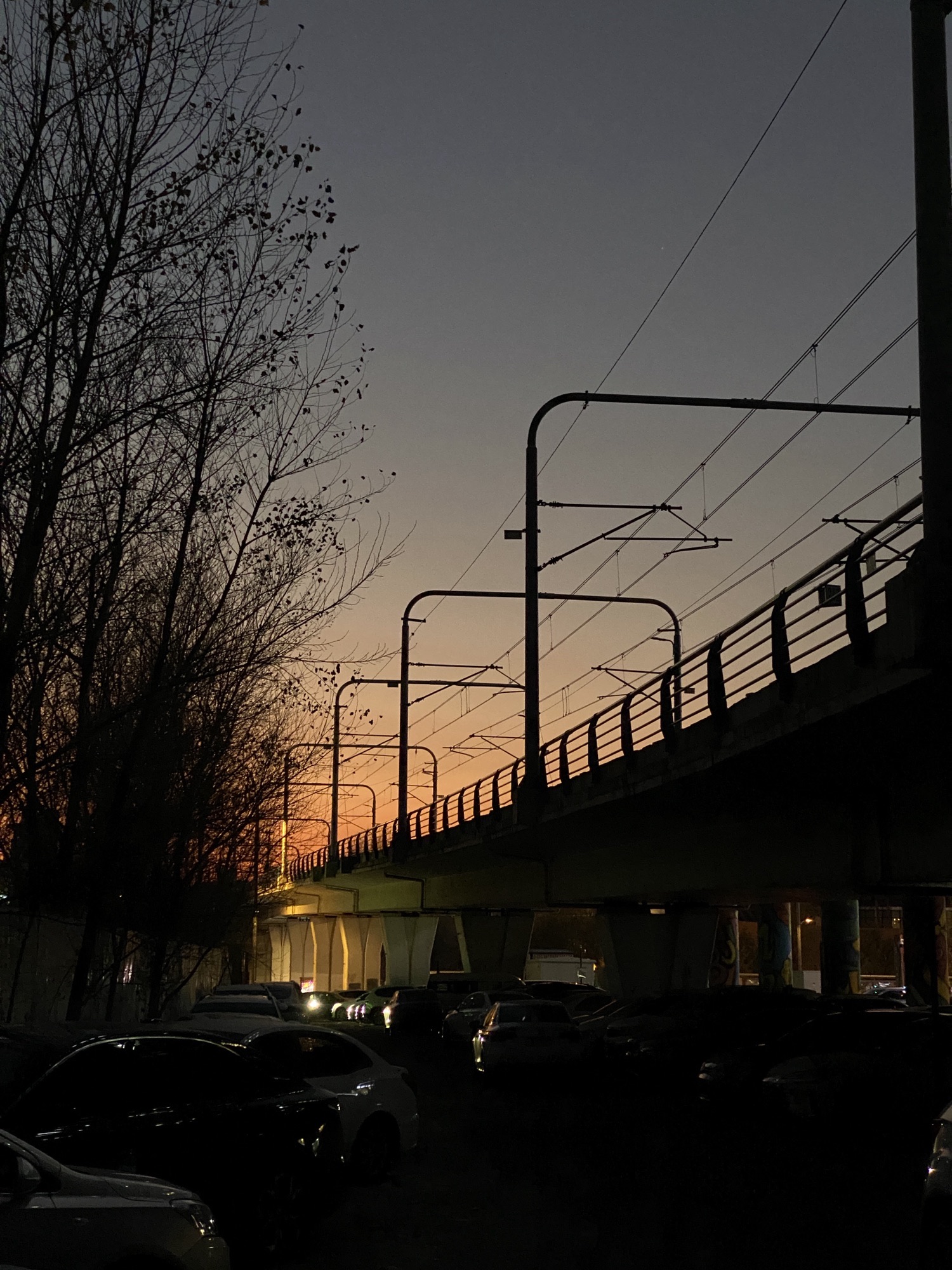世纪广场旅行图片 2