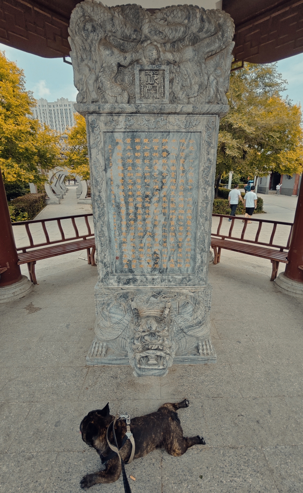 农安辽塔旅行图片 3