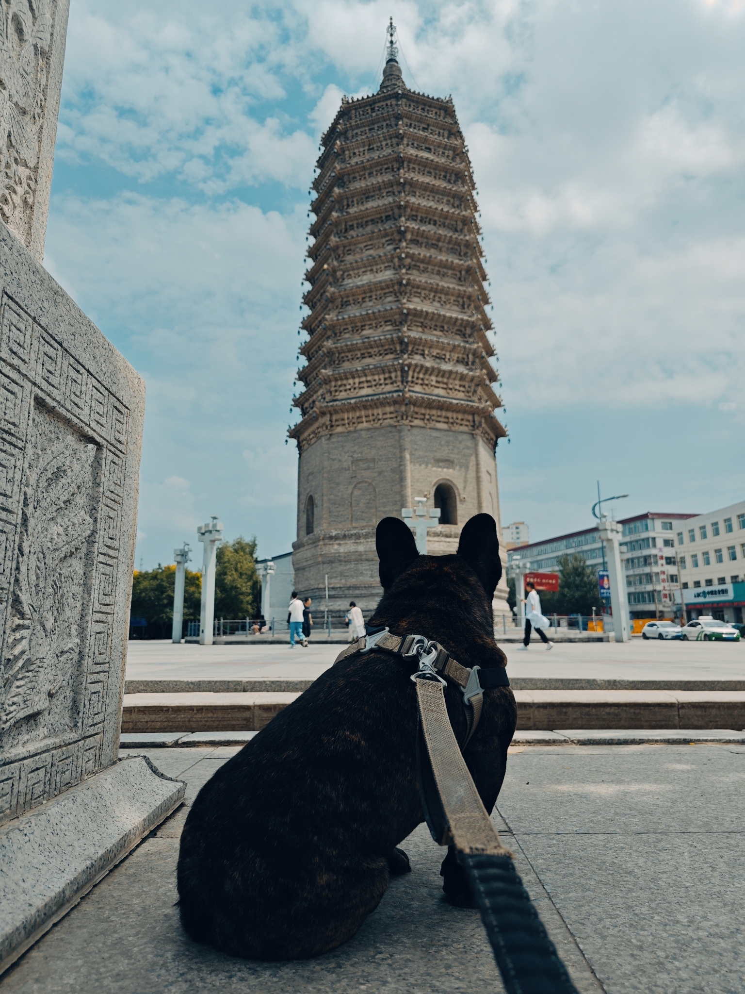 农安辽塔旅行图片 1