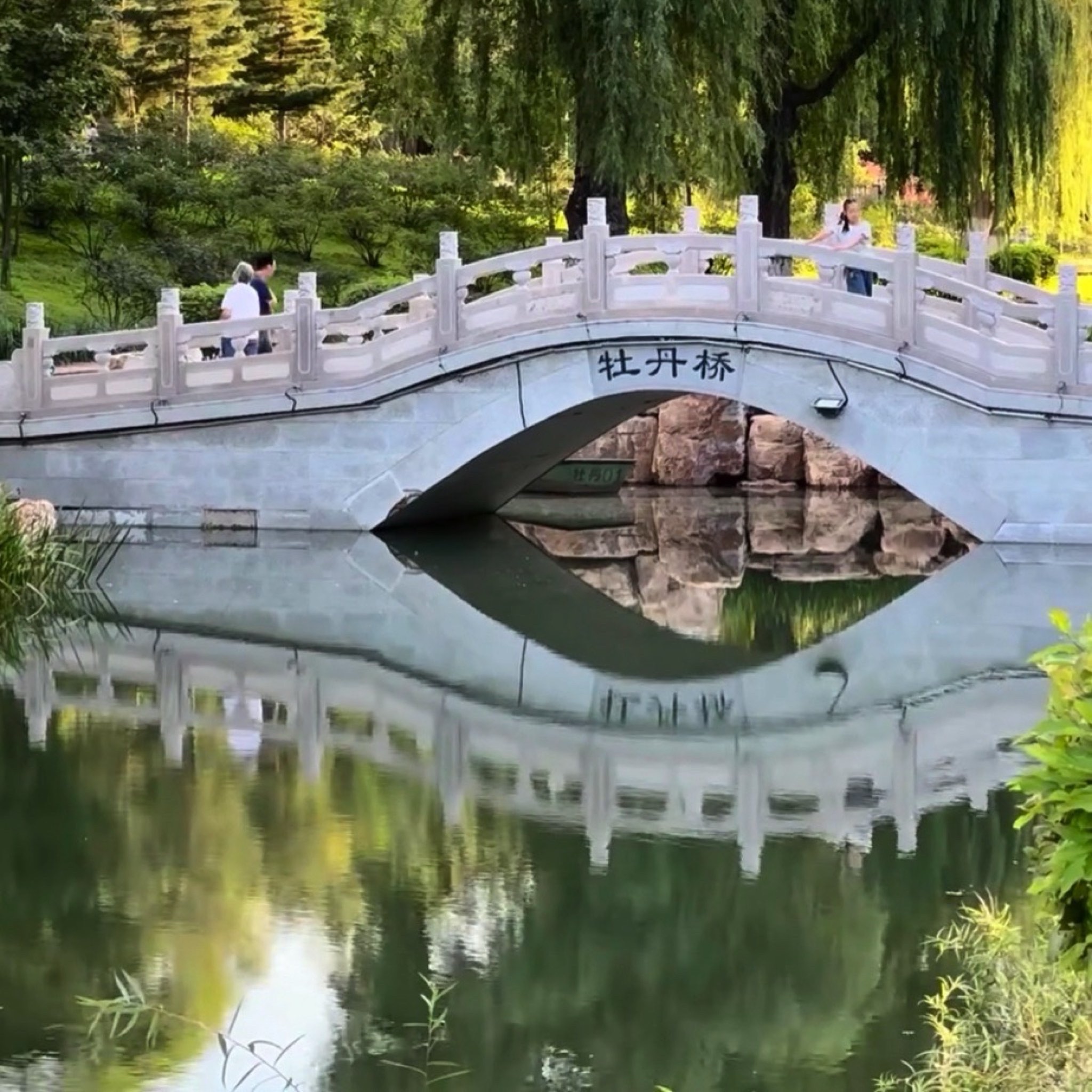 牡丹园旅行图片 2