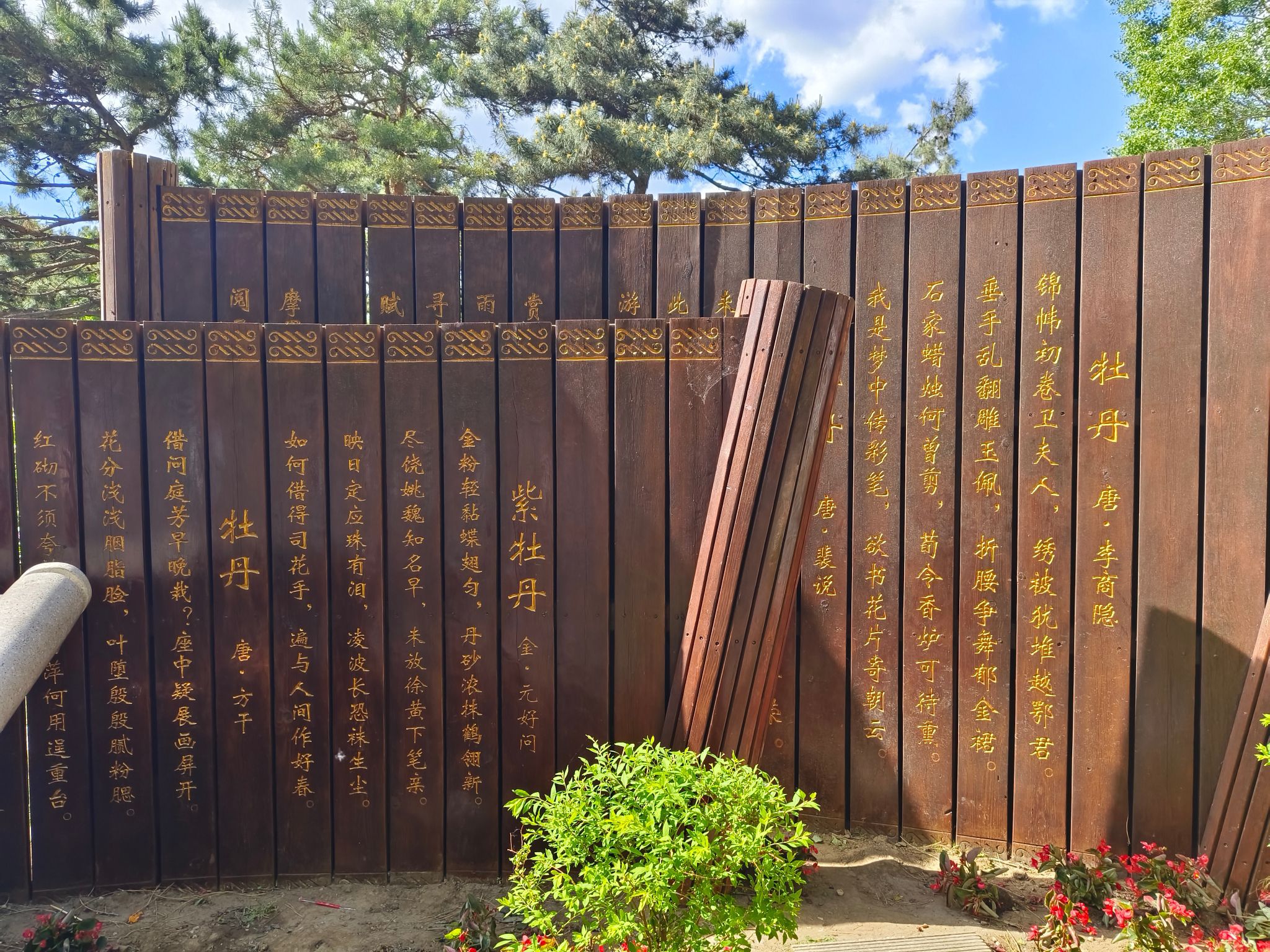 牡丹园旅行图片 1