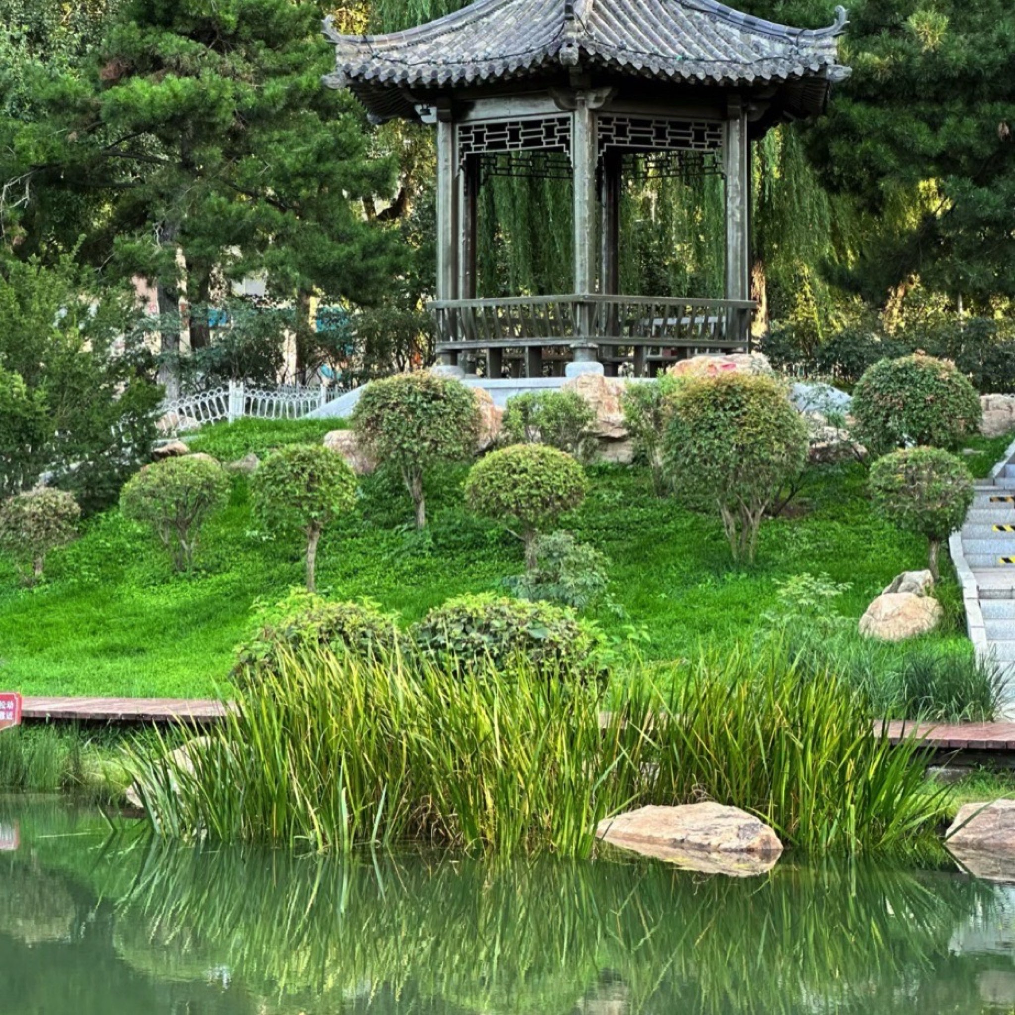 牡丹园旅行图片 3