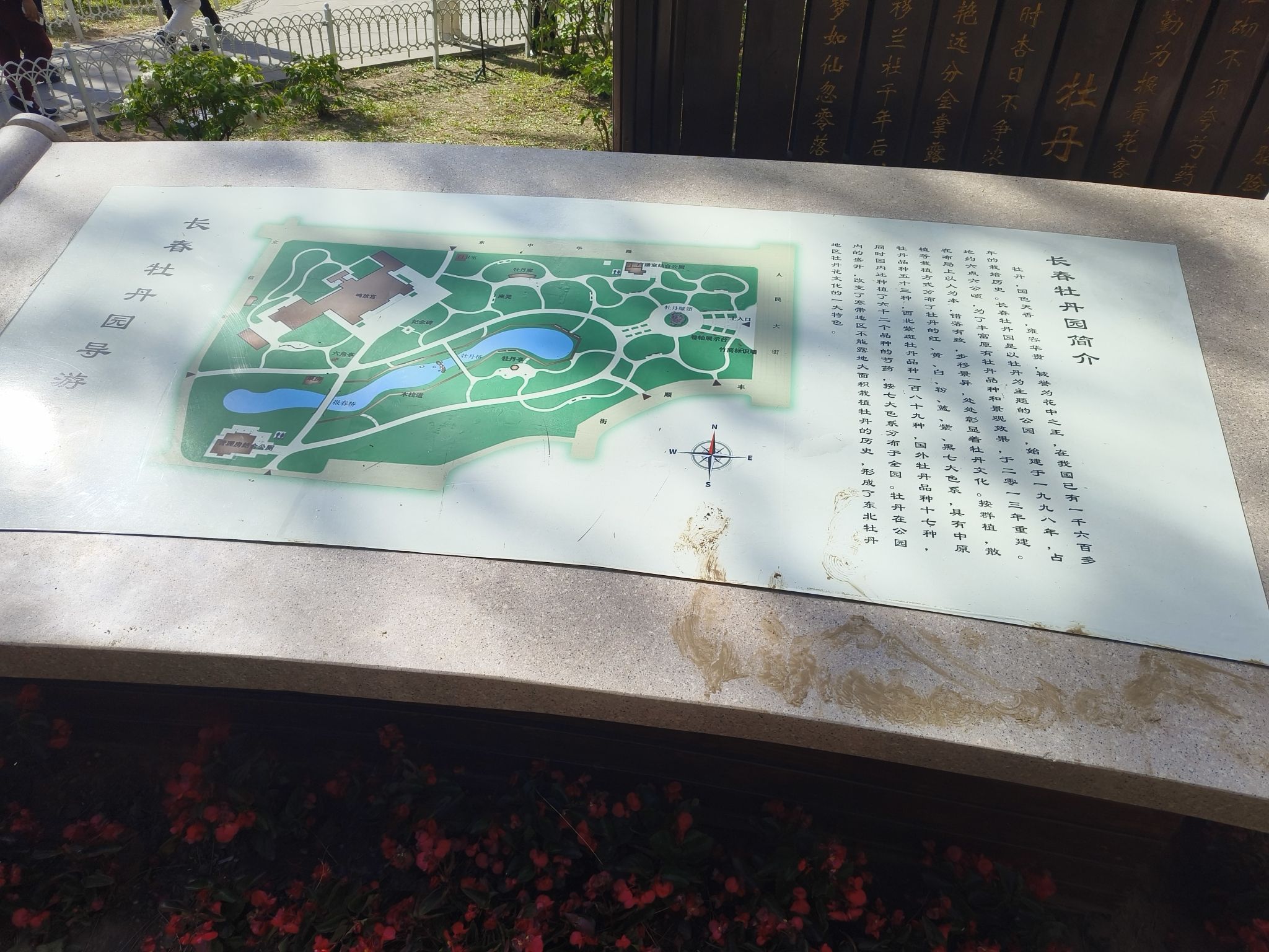 牡丹园旅行图片 2