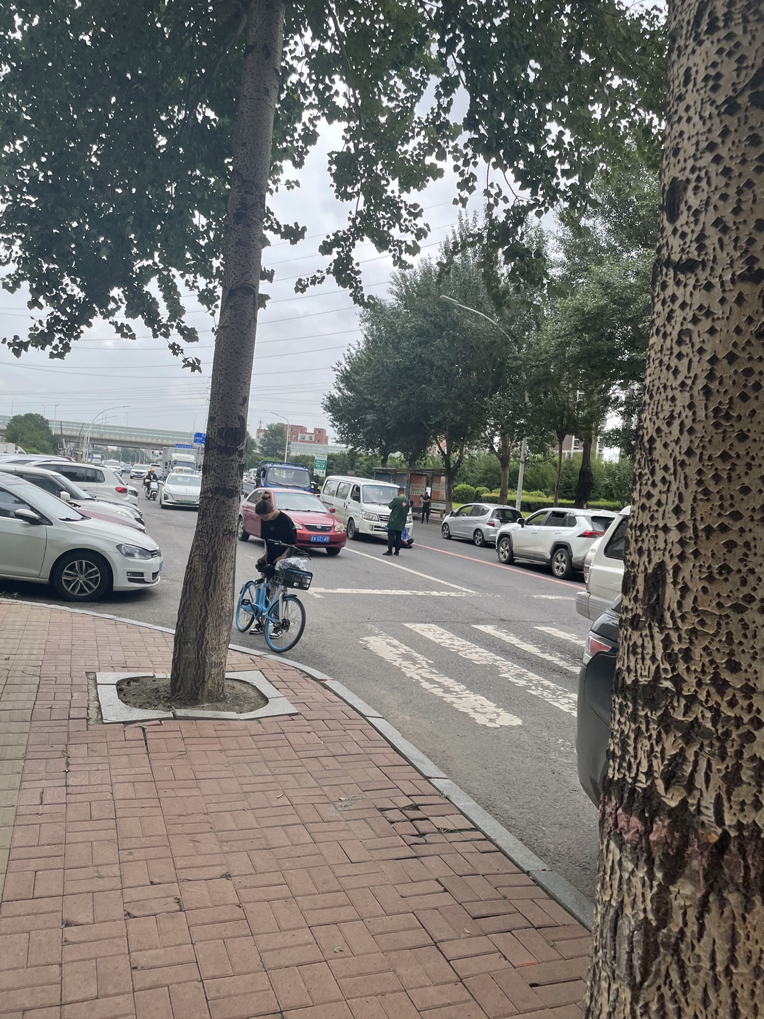 南广场旅行图片 2