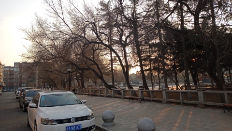 海狮公园旅行图片 2