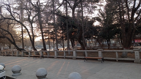 海狮公园旅行图片 3