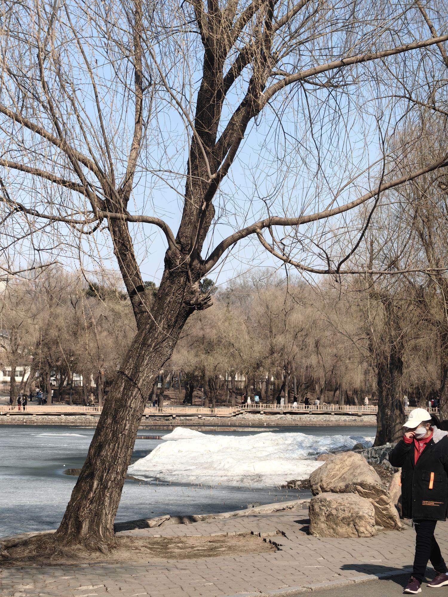 南湖公园旅行图片 1
