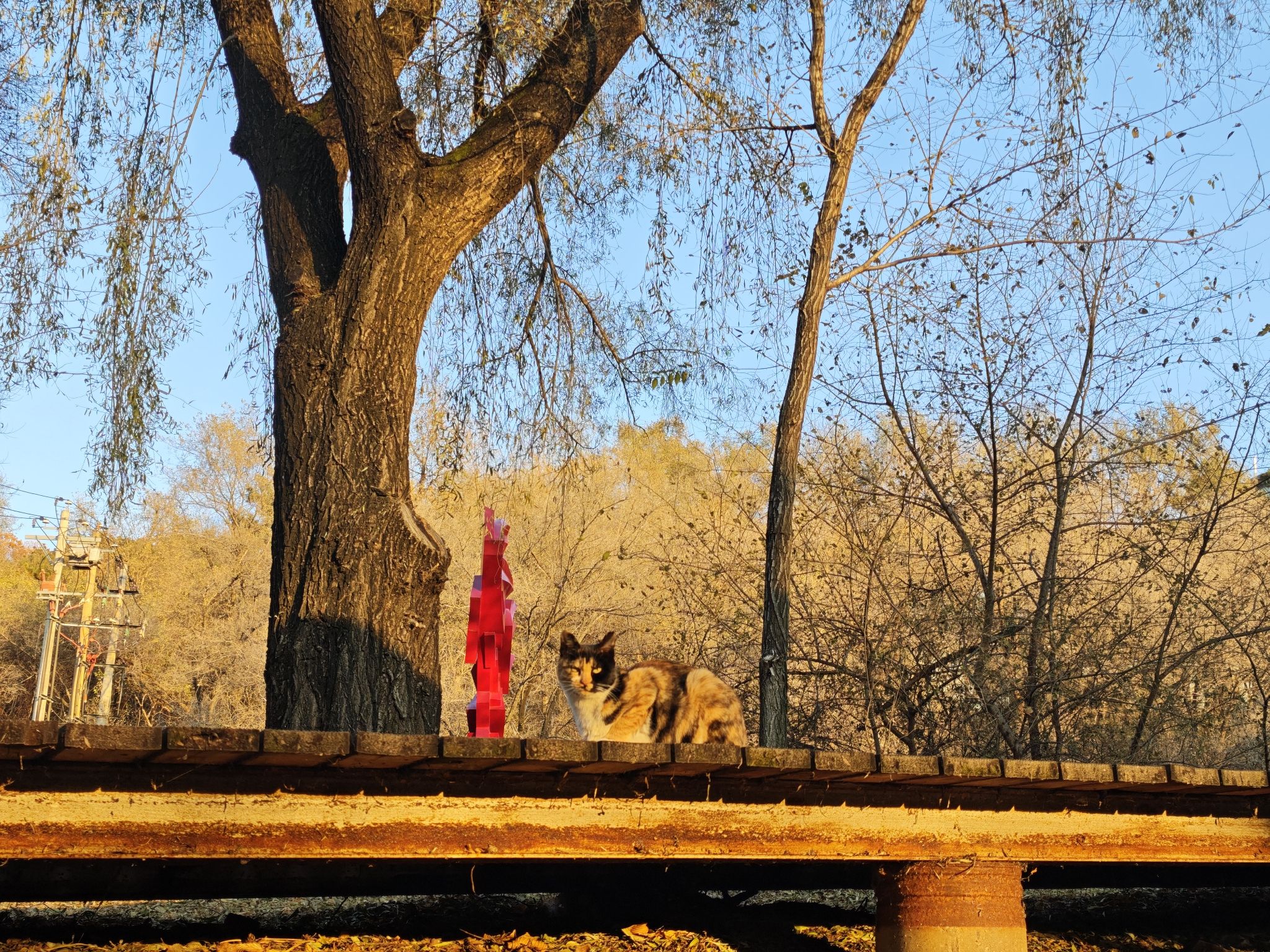 净月潭国家森林公园旅行图片 3