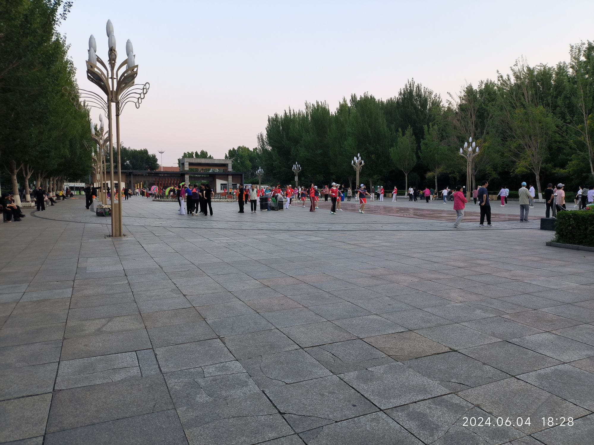 共青团花园旅行图片 2