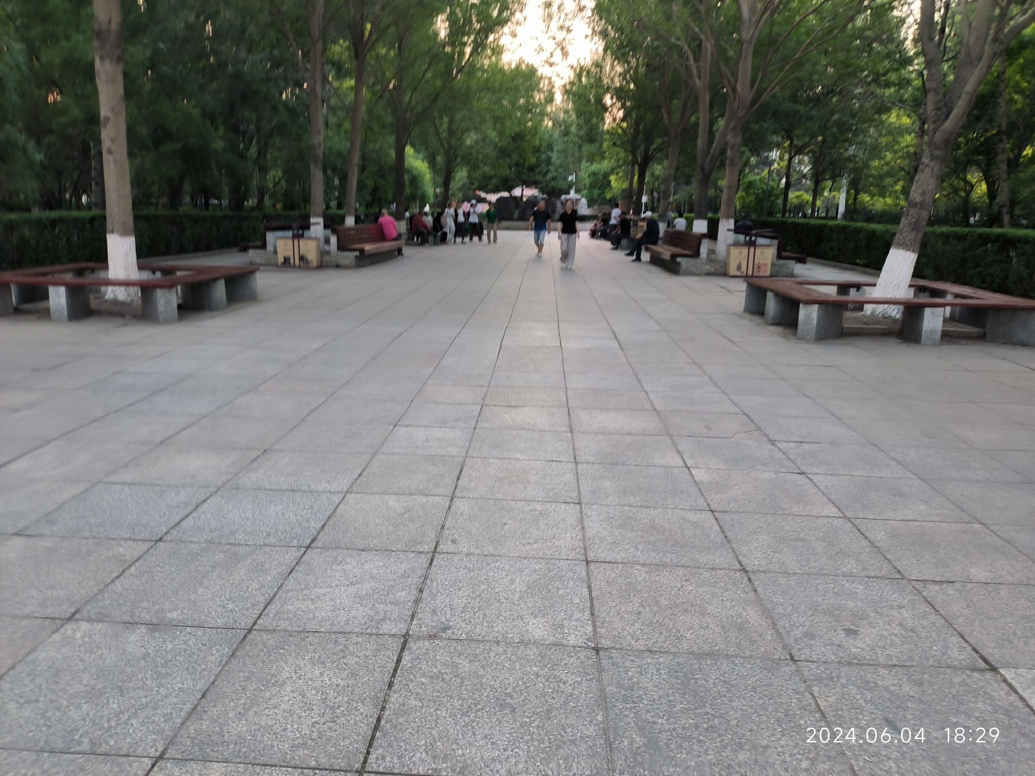 共青团花园旅行图片 1
