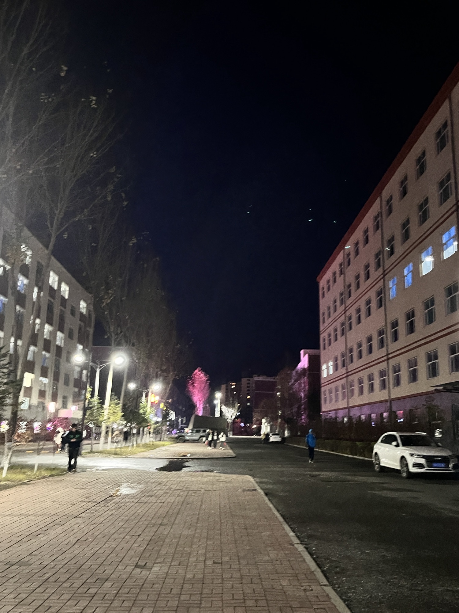 长春科技学院