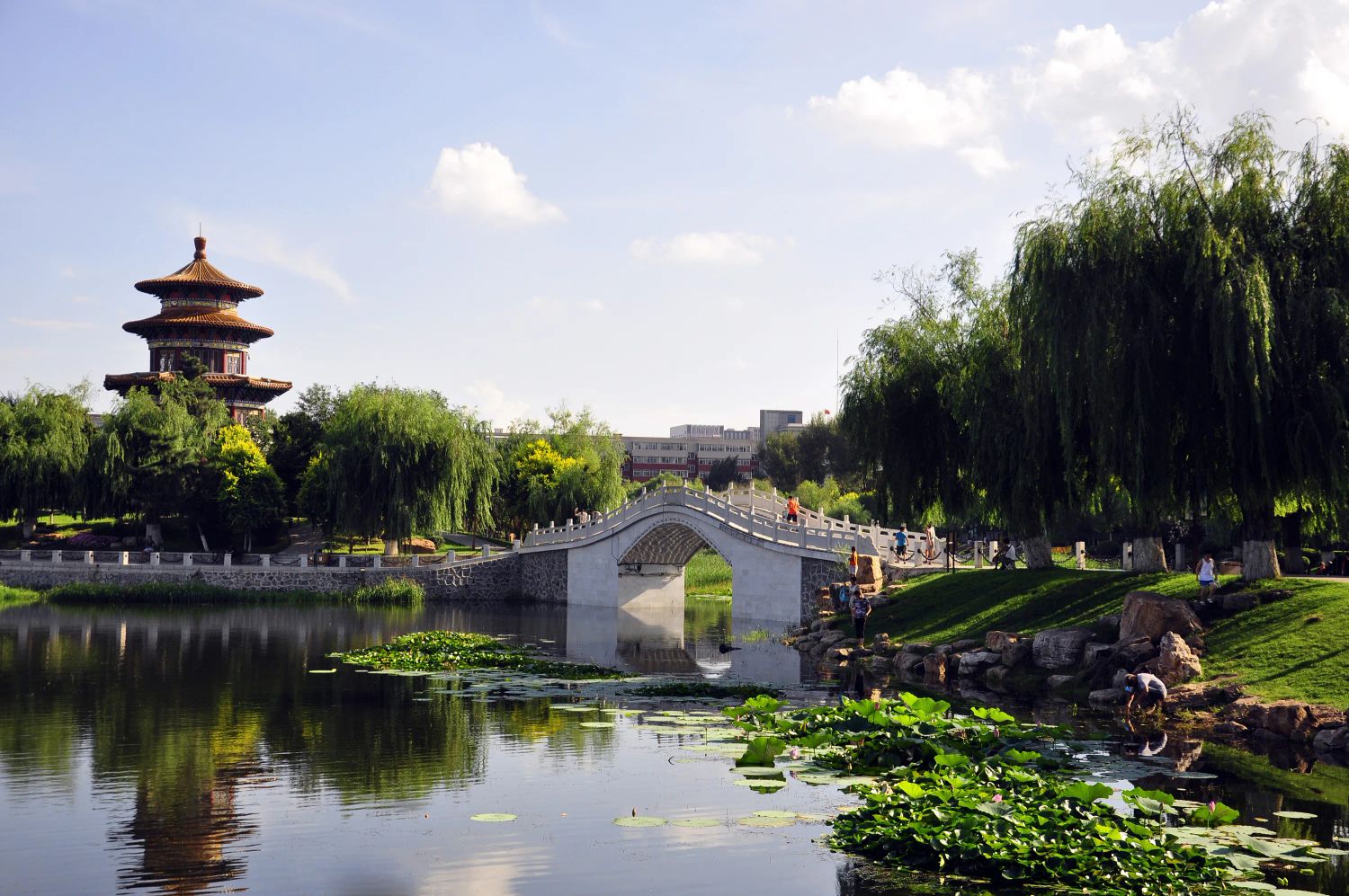 劳动公园旅行图片 1