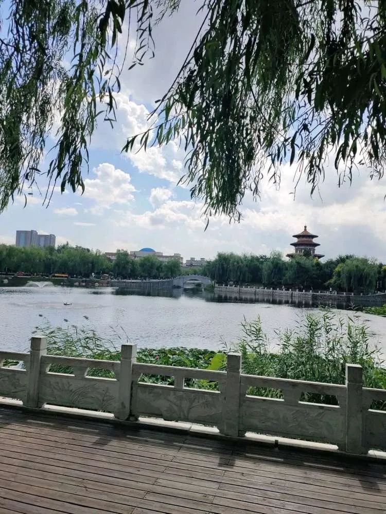 劳动公园旅行图片 3