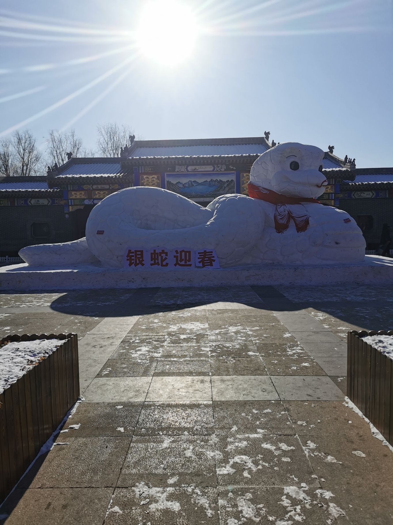 劳动公园旅行图片 3