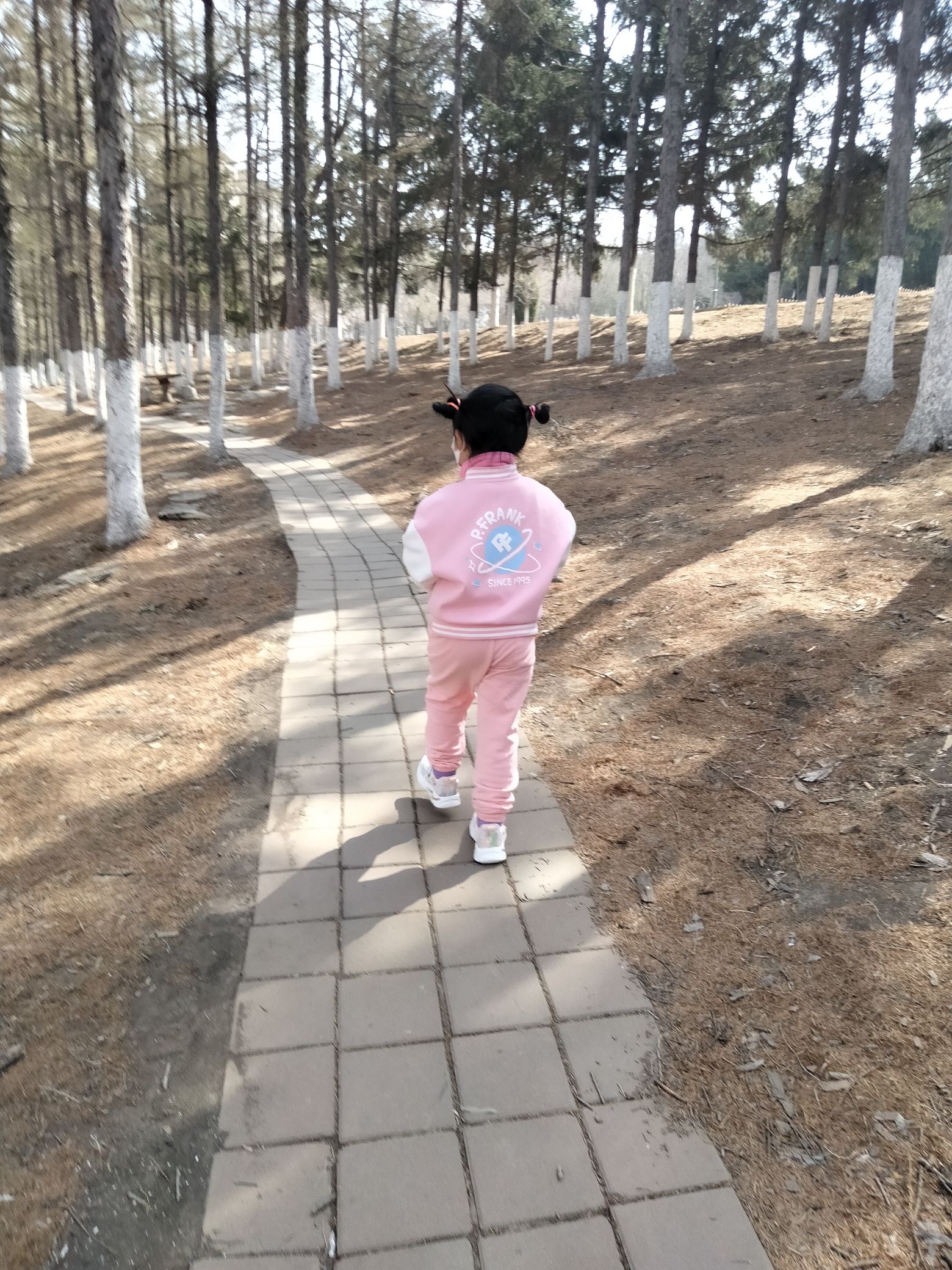 南山公园旅行图片 3