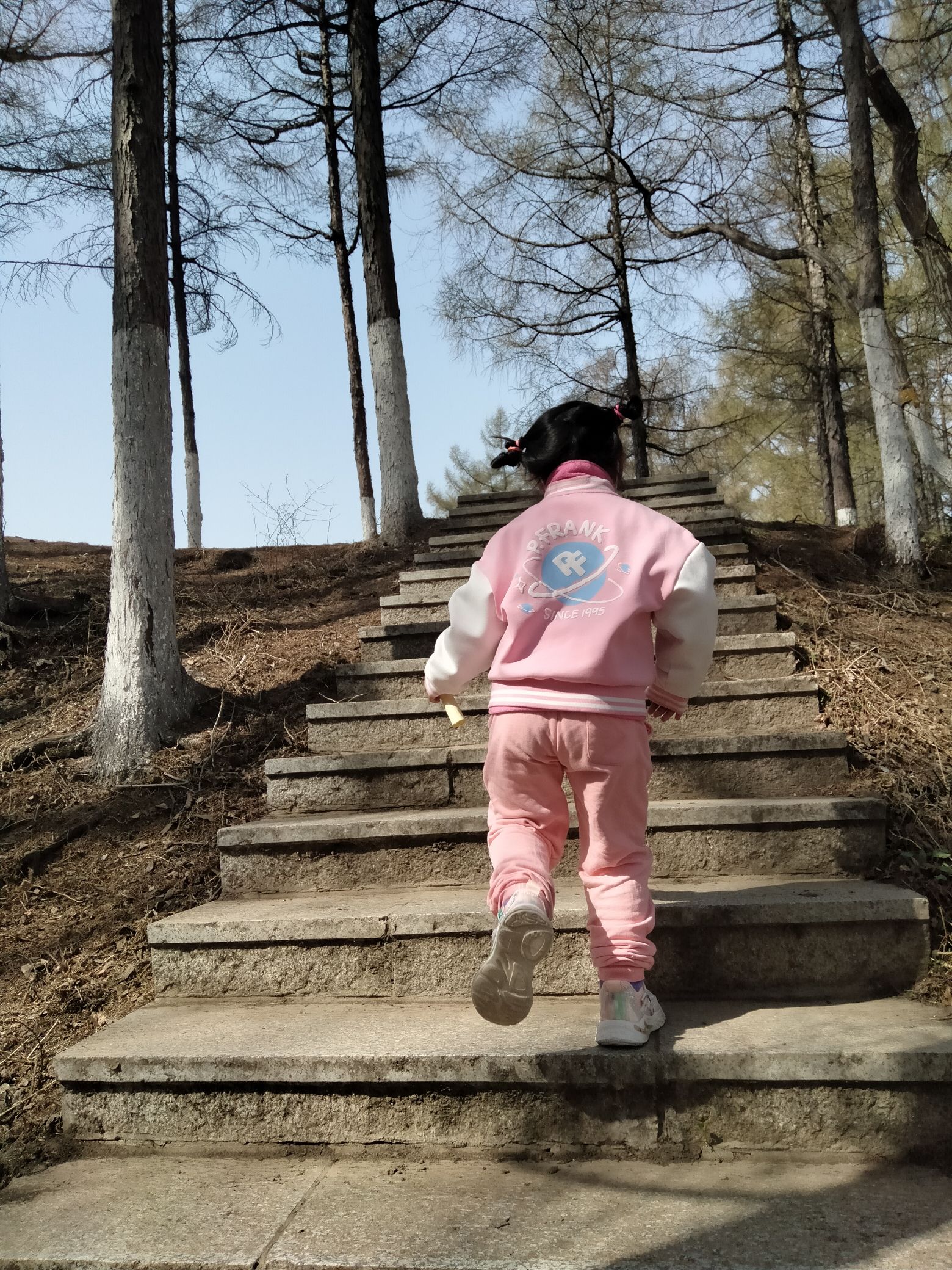 南山公园旅行图片 1