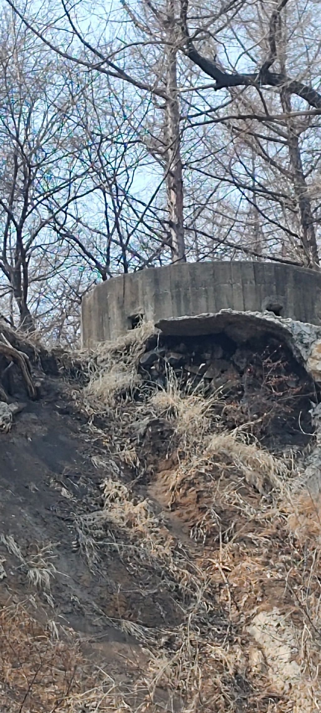 南山公园旅行图片 1