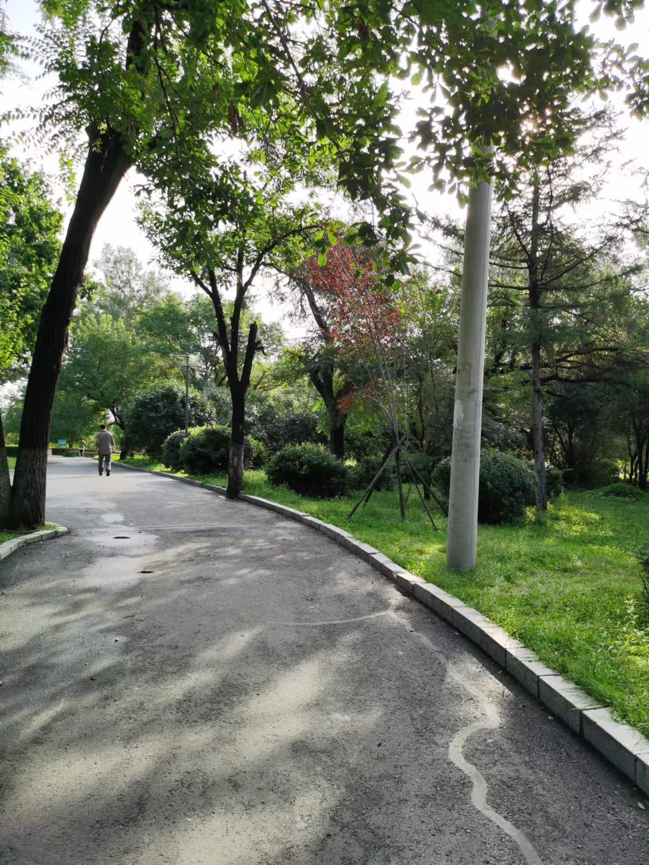 南山公园旅行图片 3
