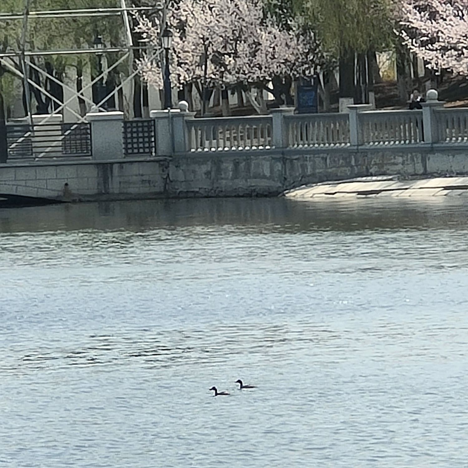 长春世界雕塑园旅行图片 1