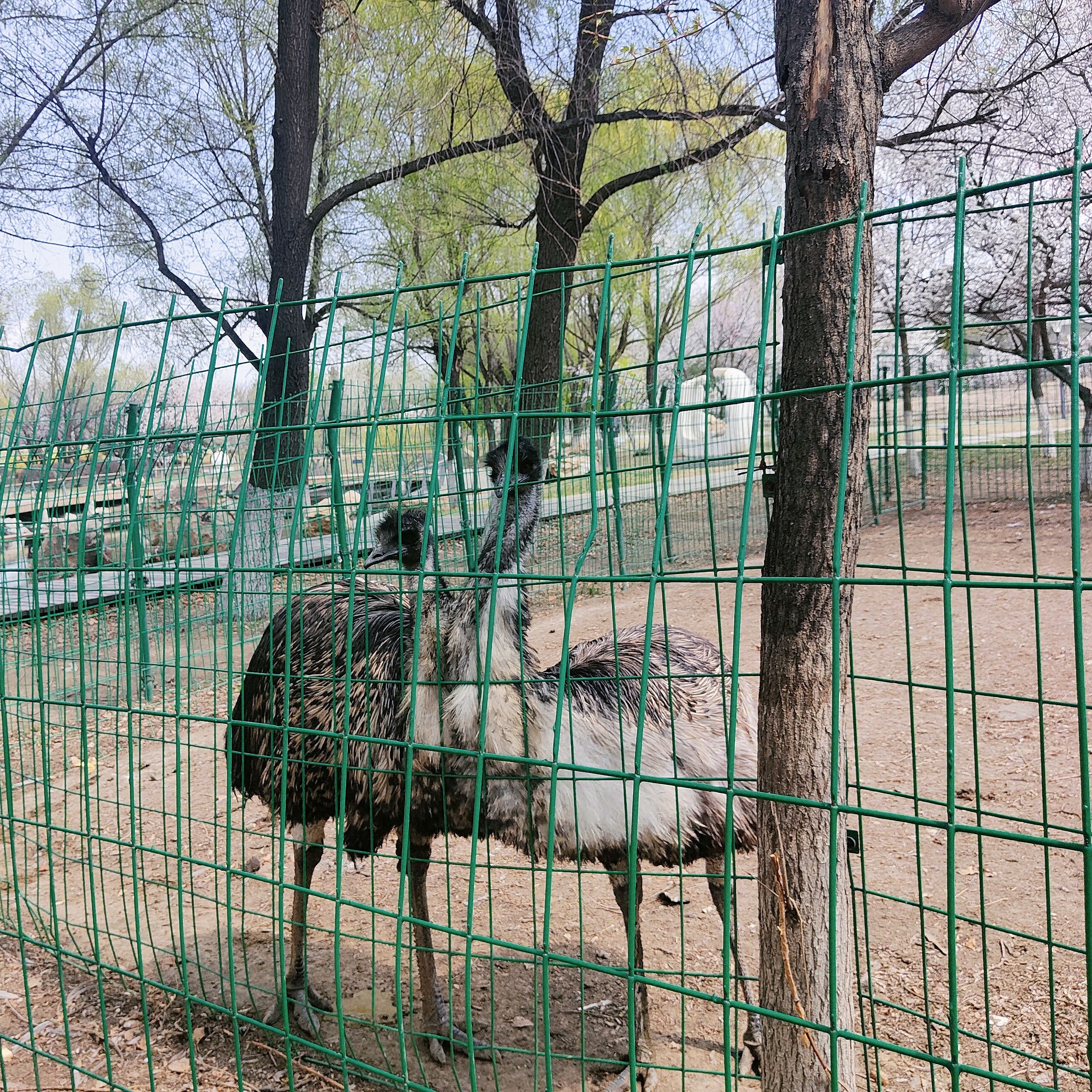 长春世界雕塑园旅行图片 2