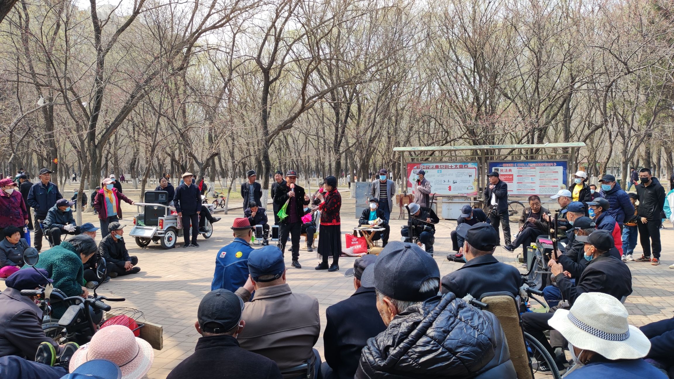 榆树公园旅行图片 3