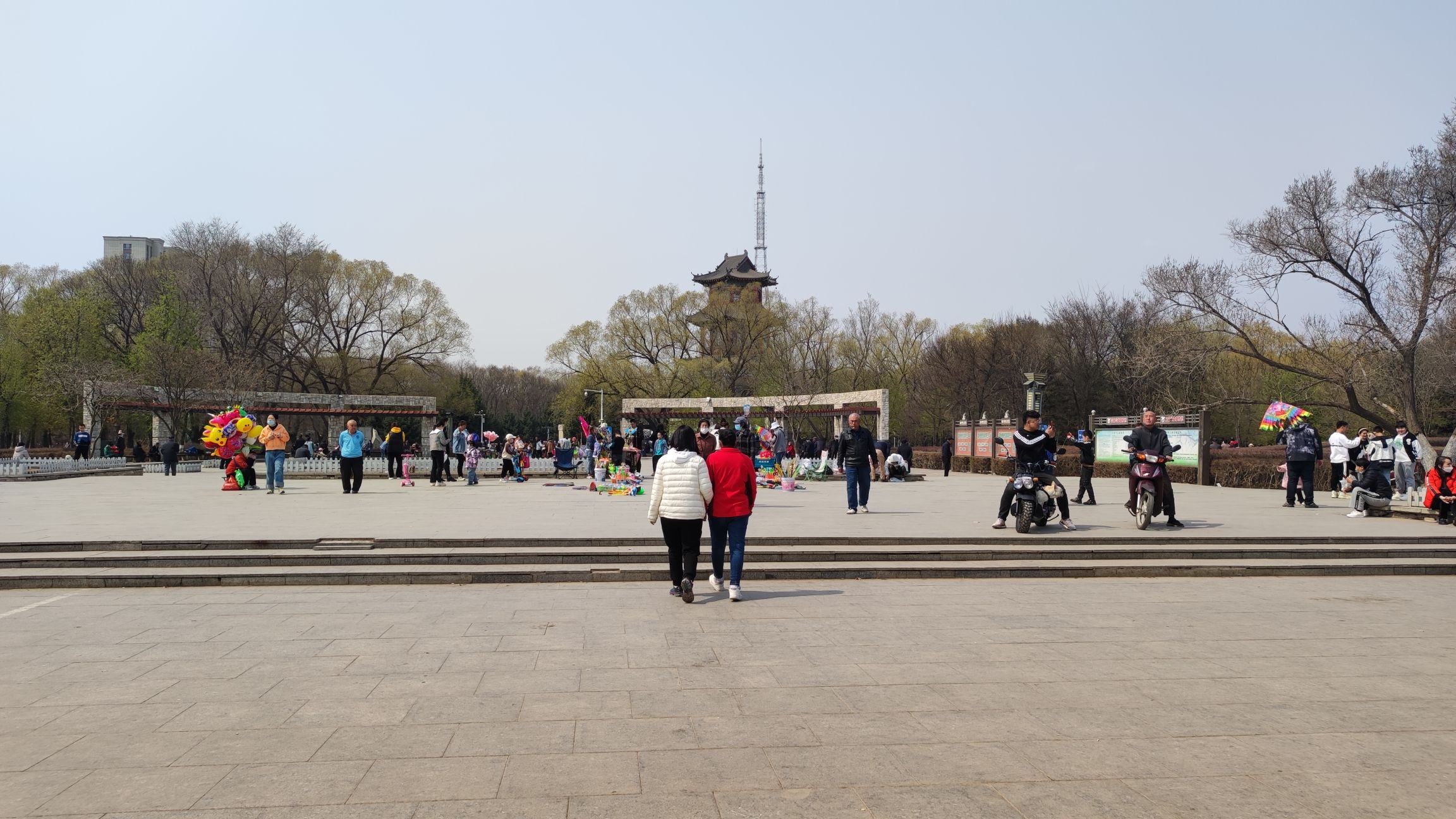 榆树公园旅行图片 1