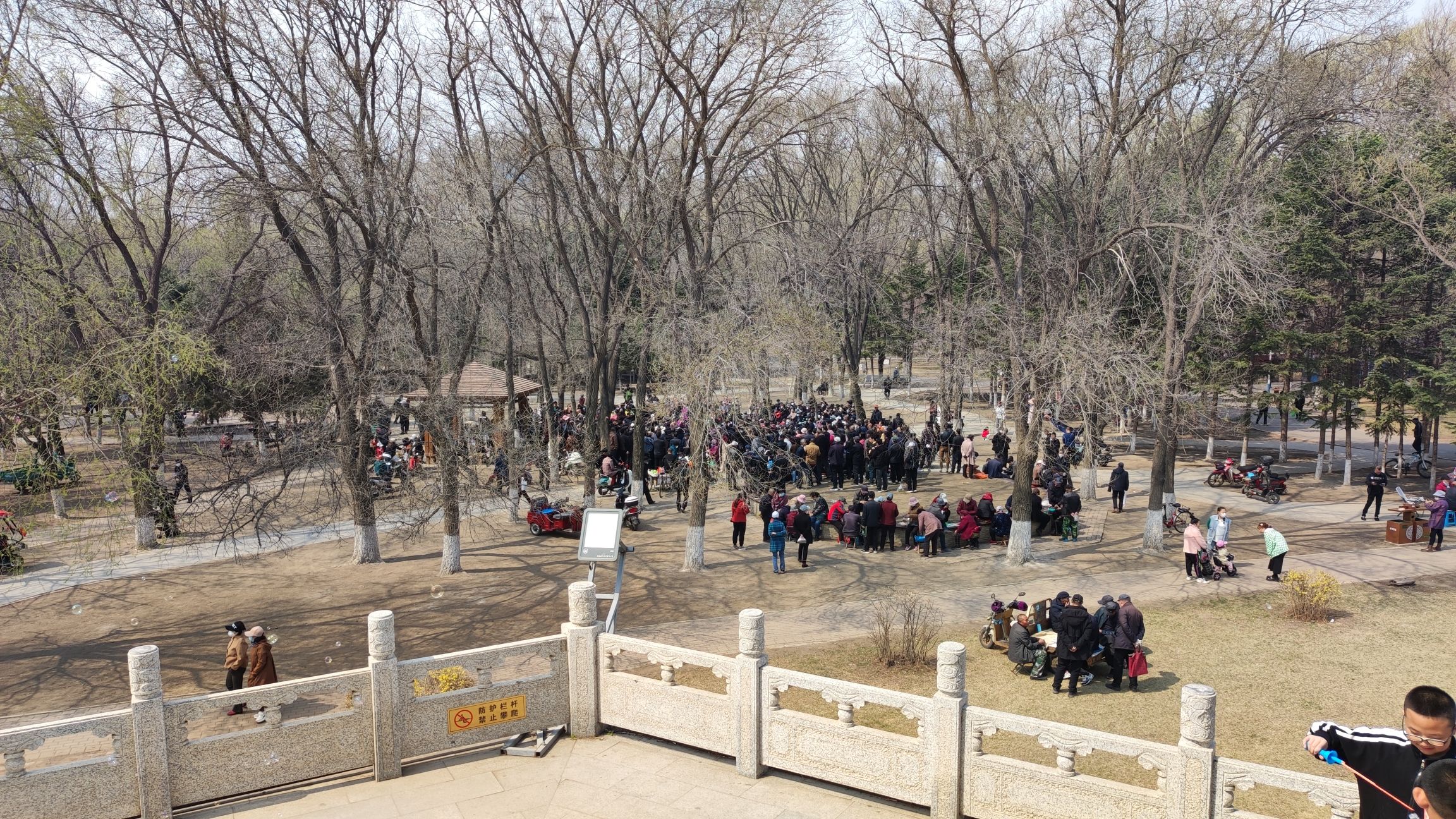 榆树公园旅行图片 2