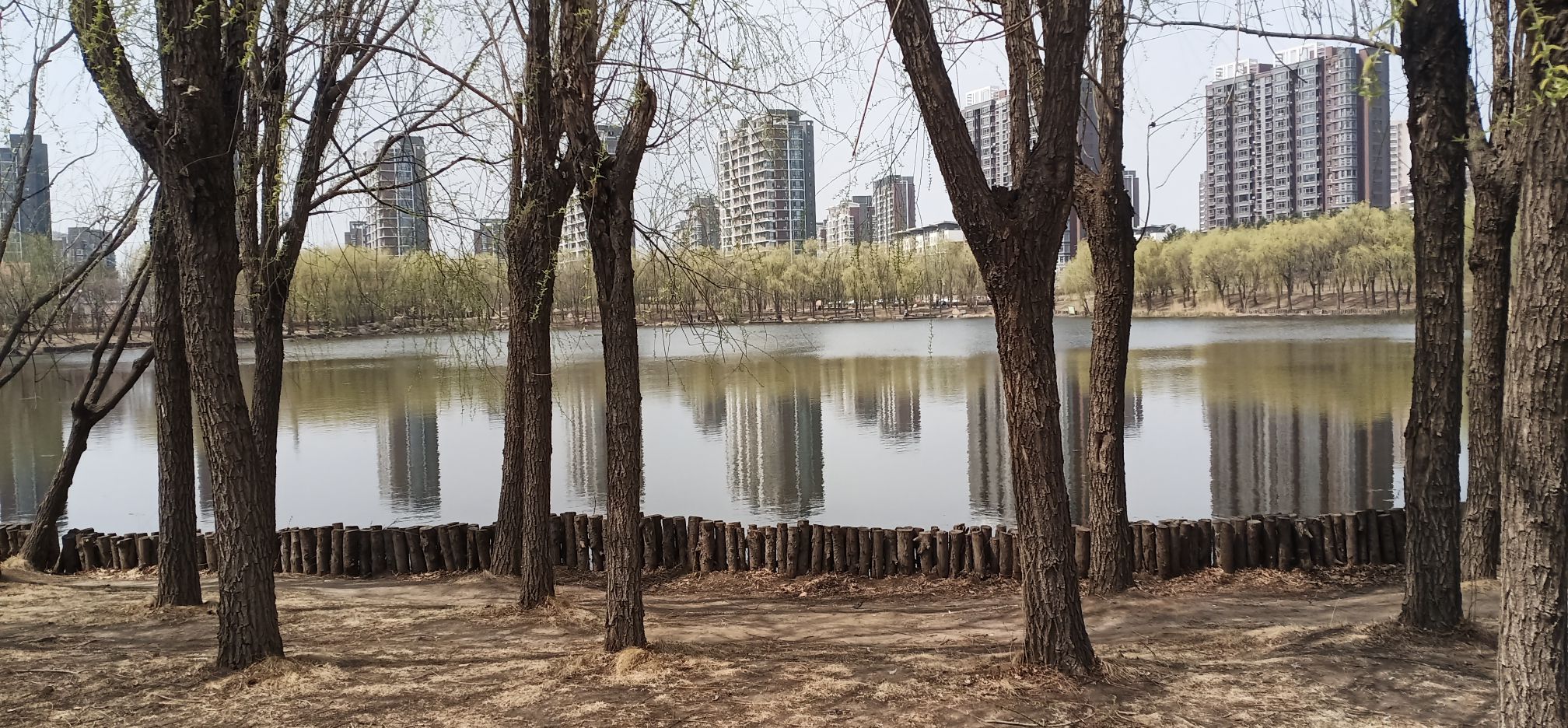 天嘉公园旅行图片 1
