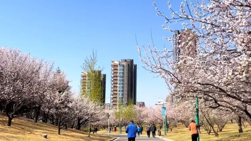 天嘉公园旅行图片 1