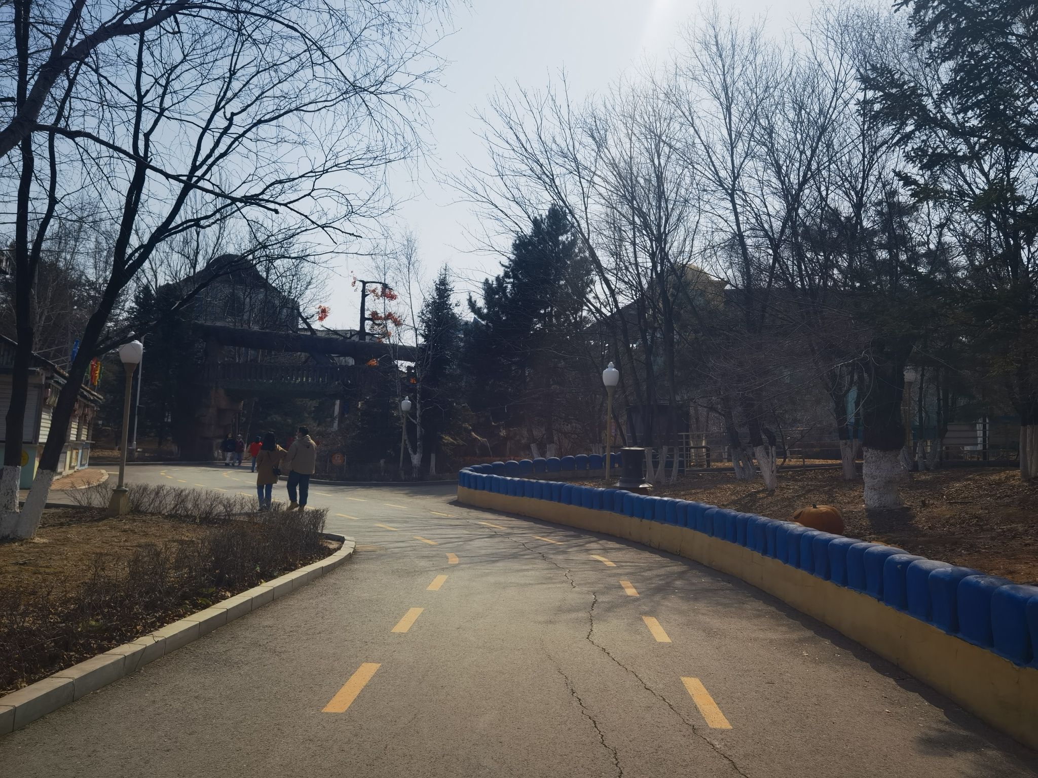 长影世纪城旅行图片 1