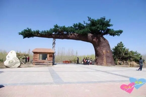 德惠市植物公园旅行图片 3