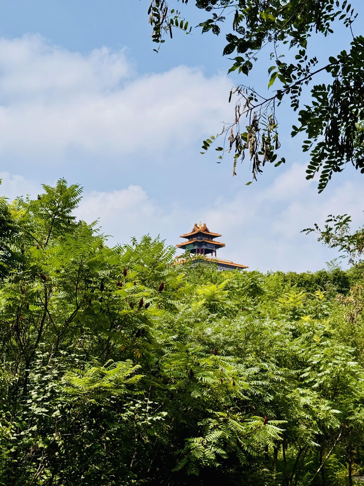青鼎山旅行图片 1