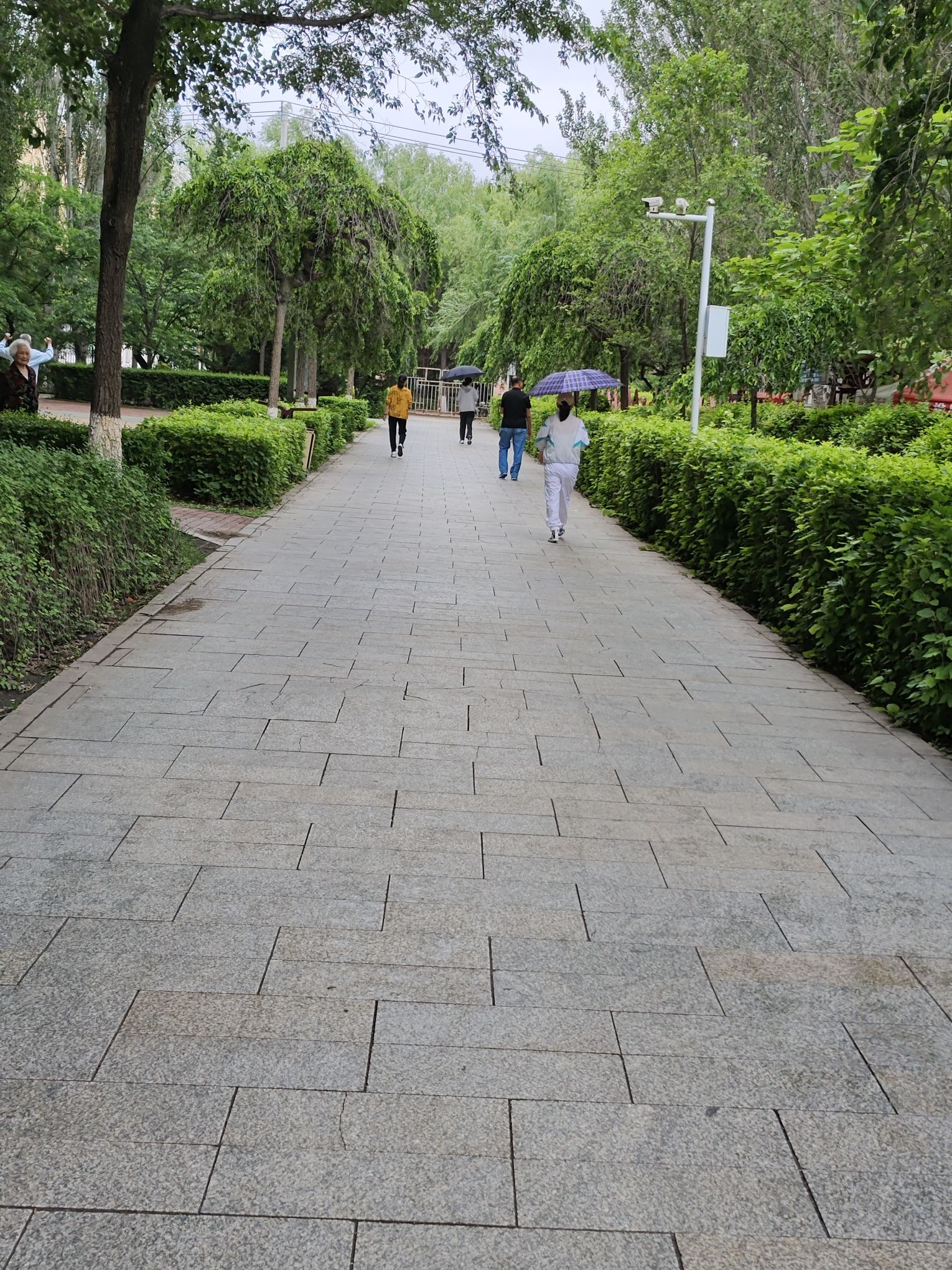 岱山公园旅行图片 2