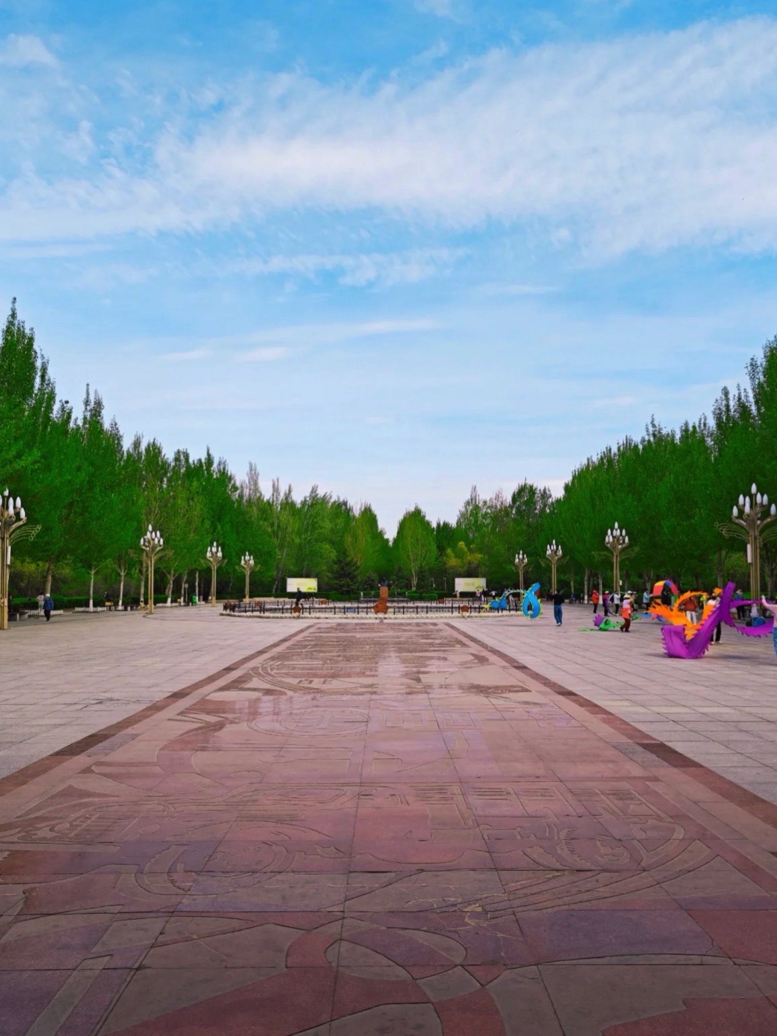 岱山公园旅行图片 2