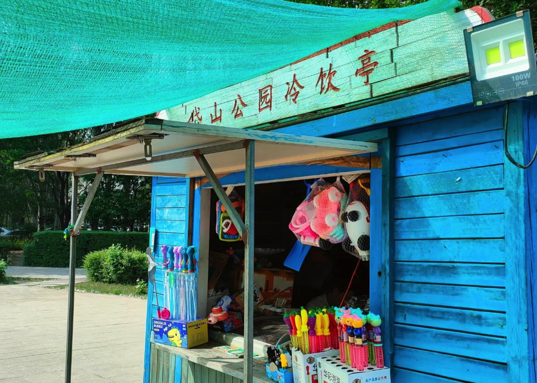 岱山公园旅行图片 3