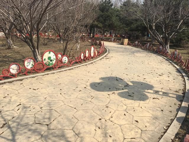 岱山公园旅行图片 2