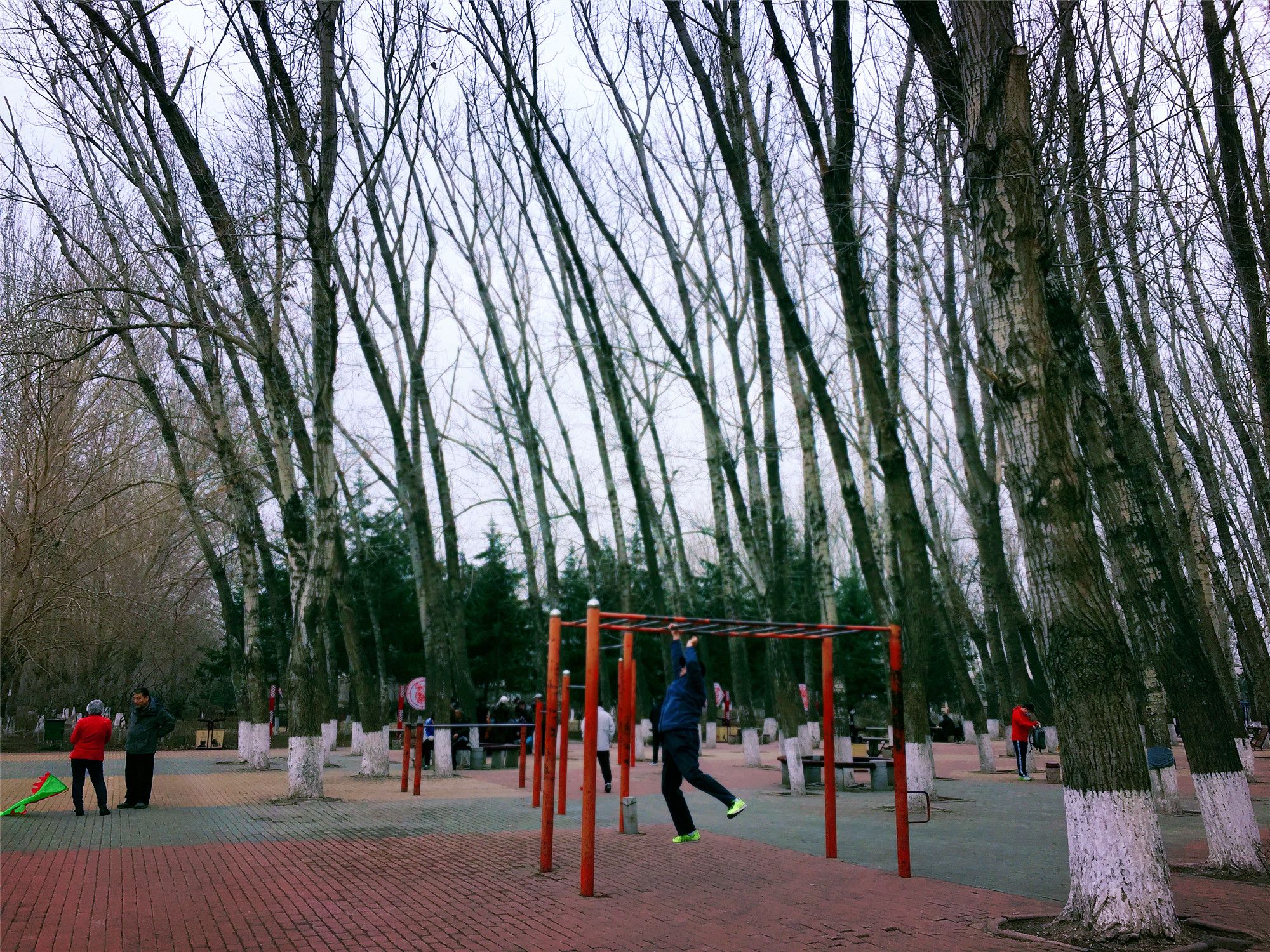 岱山公园旅行图片 3
