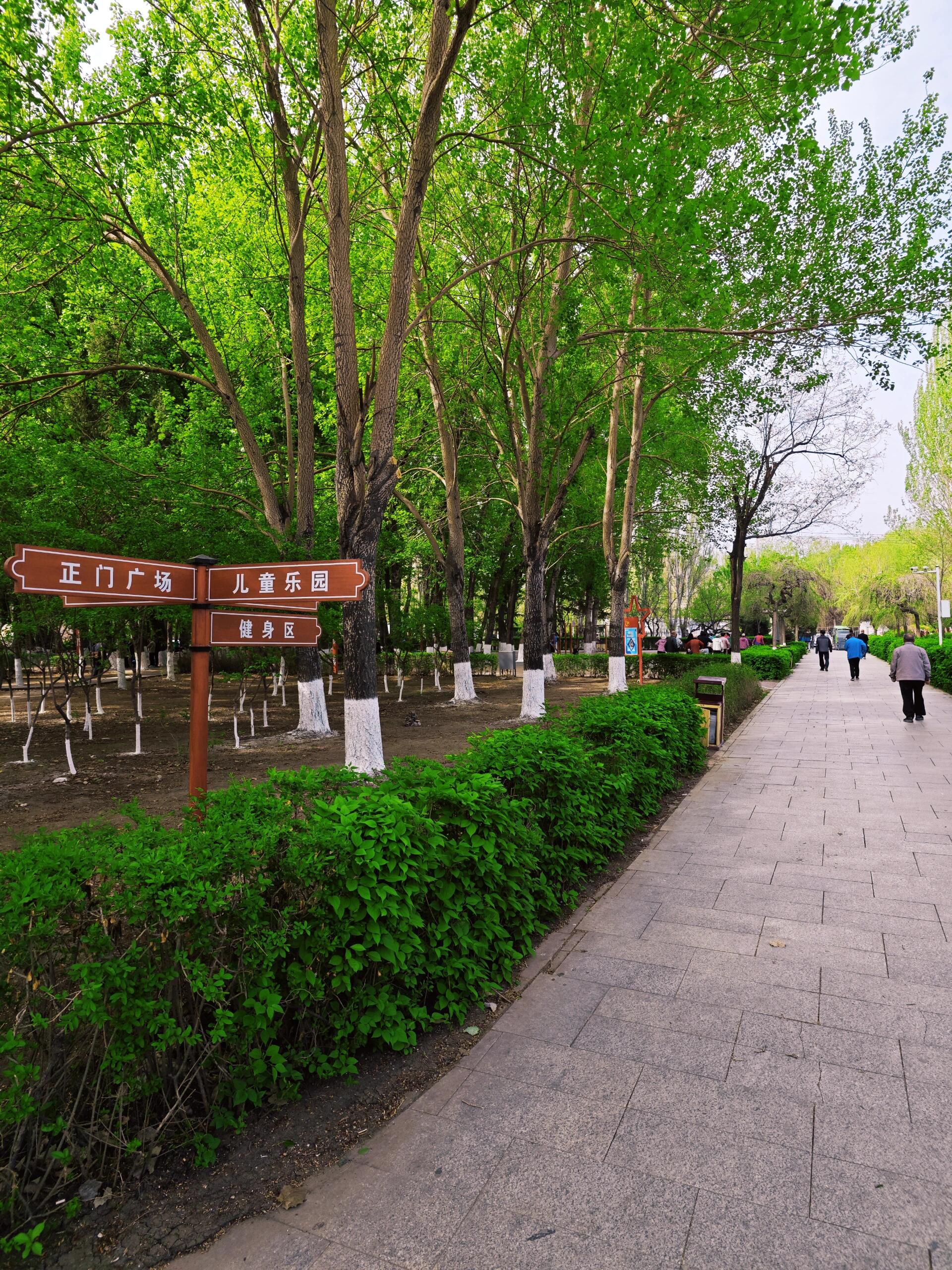 岱山公园旅行图片 2