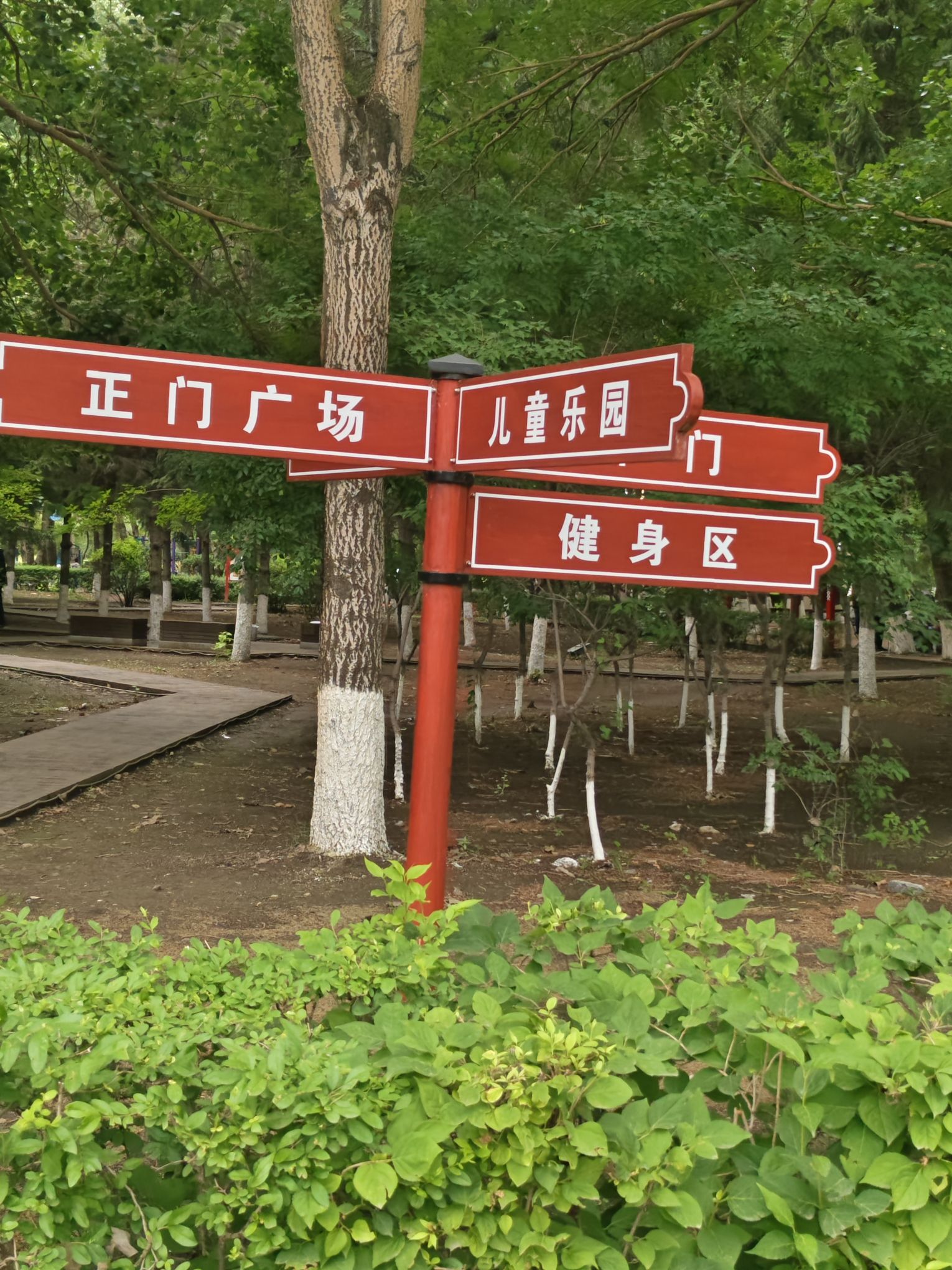 岱山公园旅行图片 3