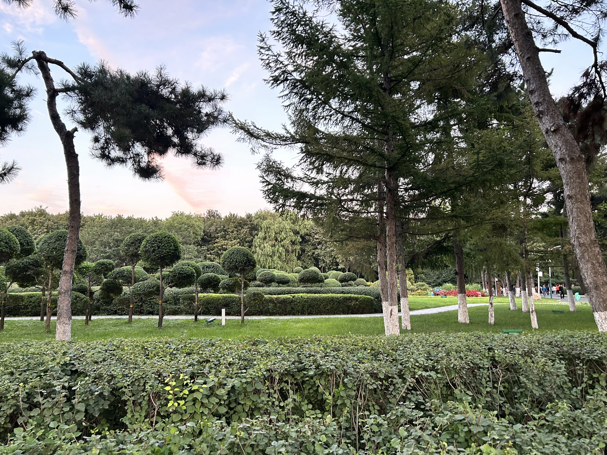 长春市儿童公园旅行图片 1