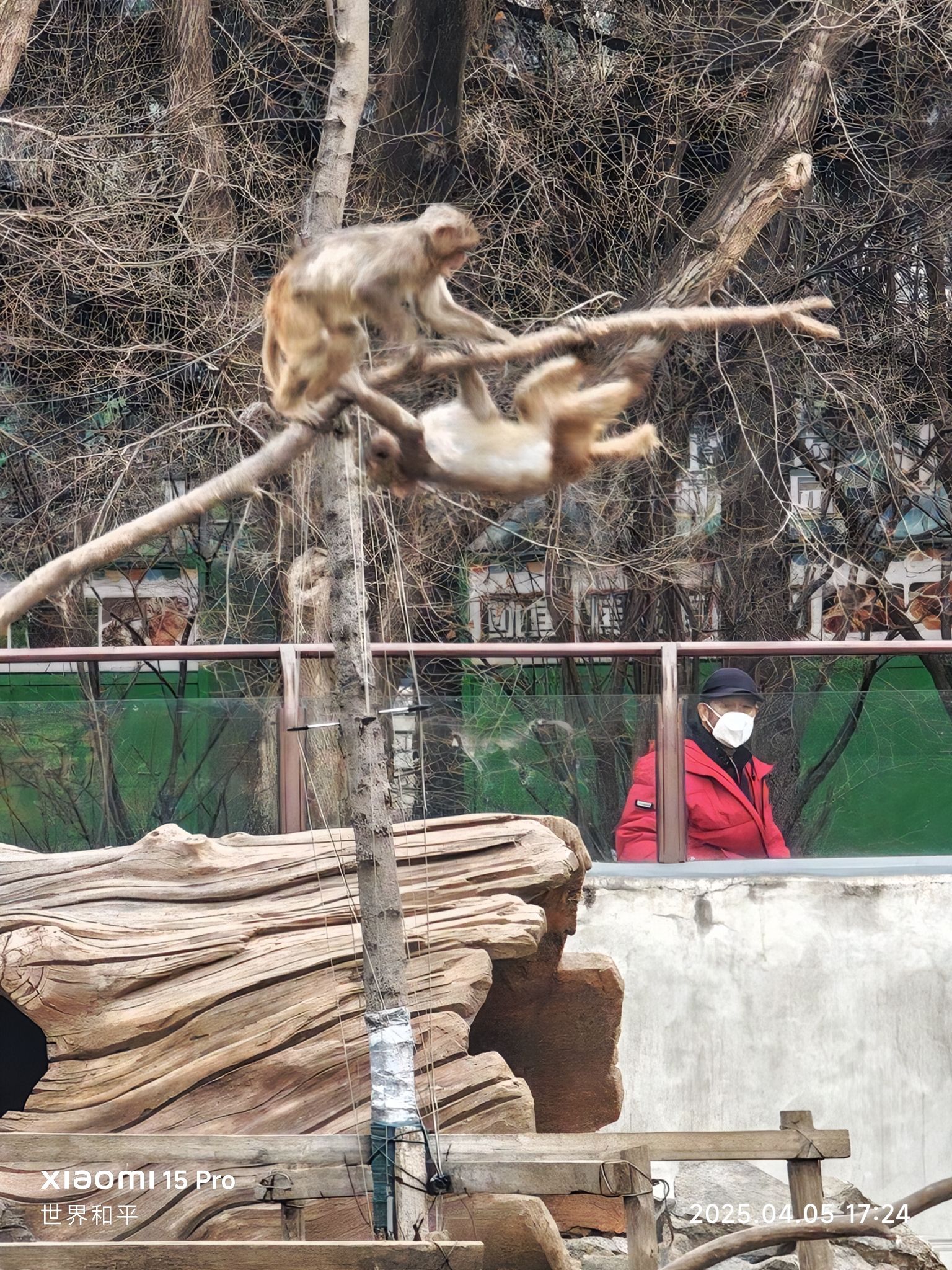 长春市动植物公园旅行图片 1
