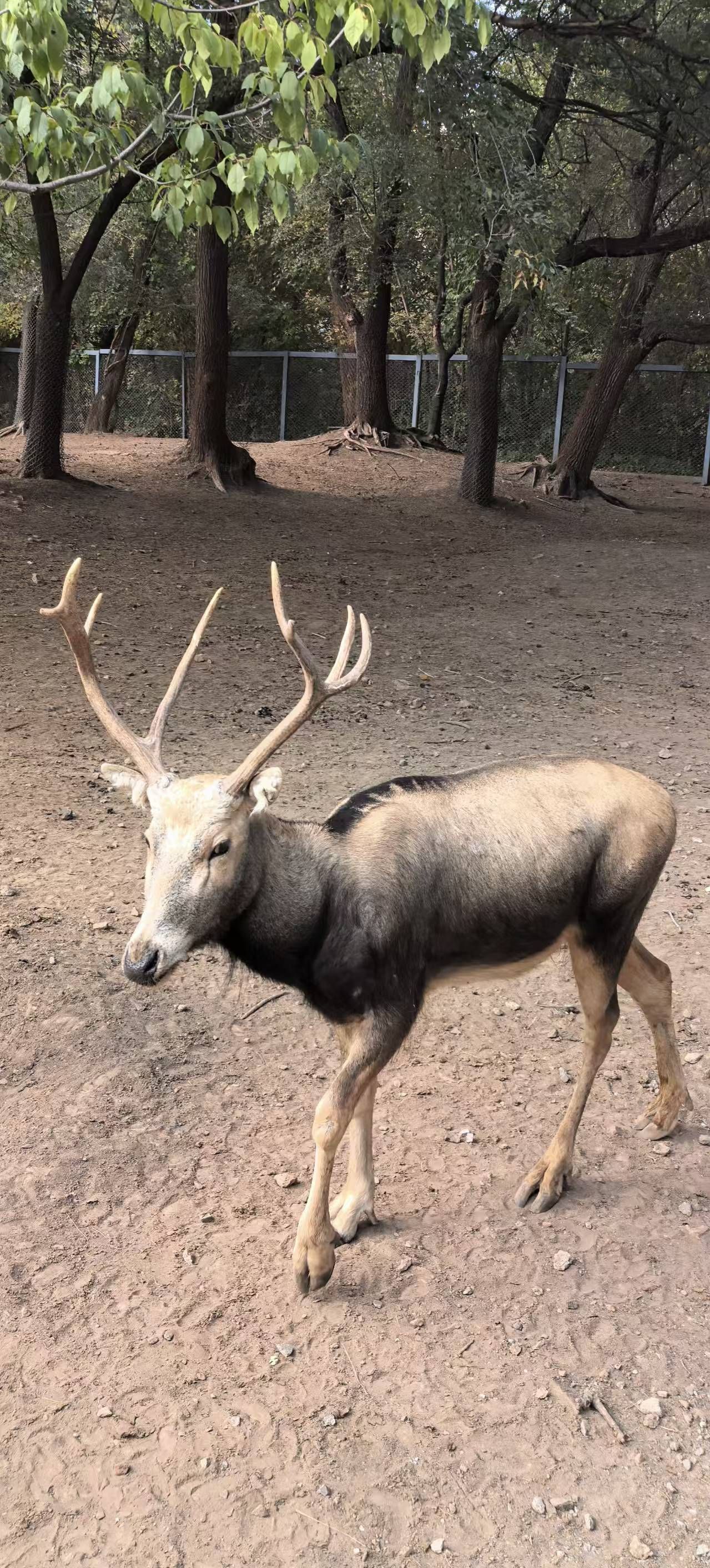 长春市动植物公园旅行图片 2